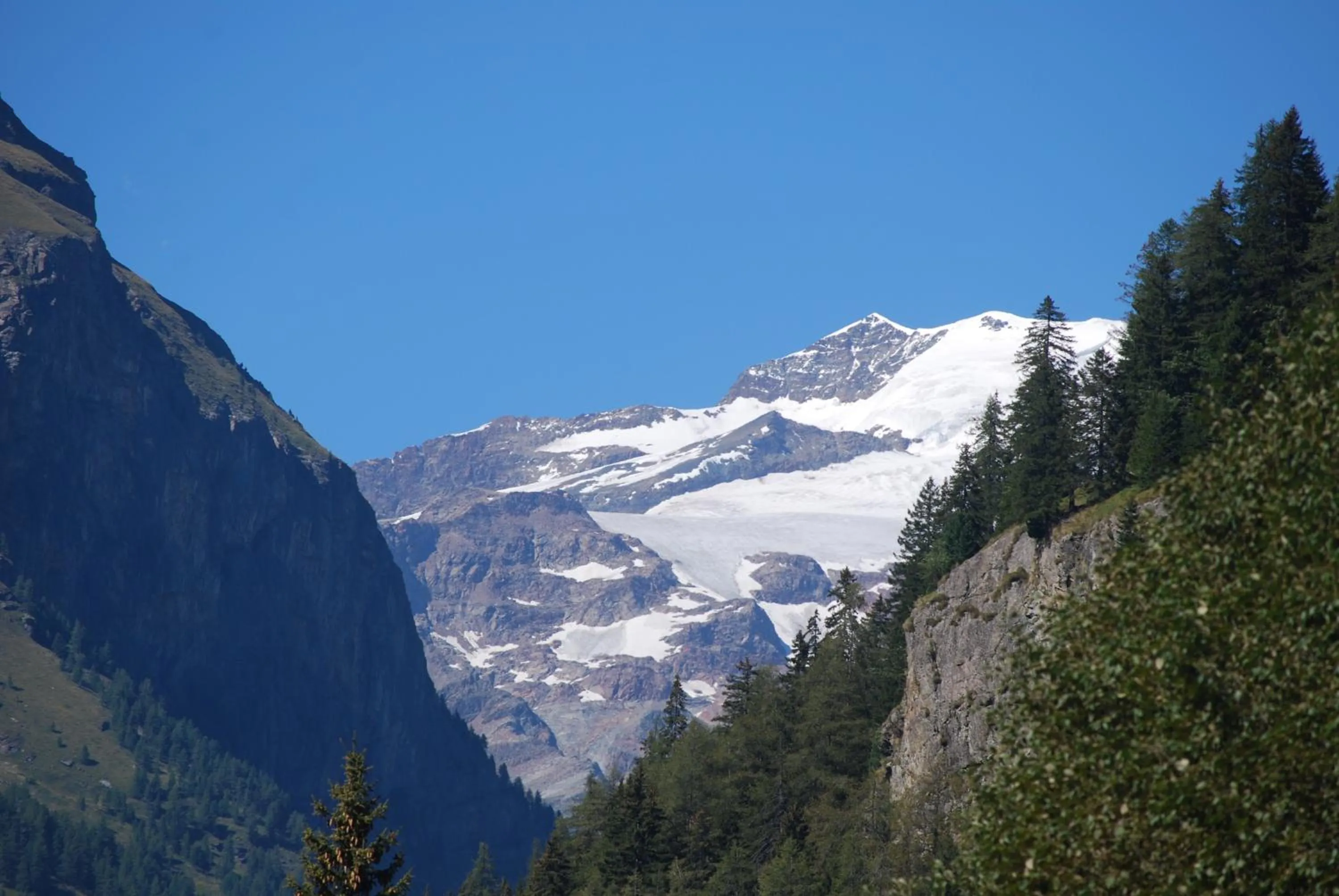 Natural landscape in Margherita Camping & Resort