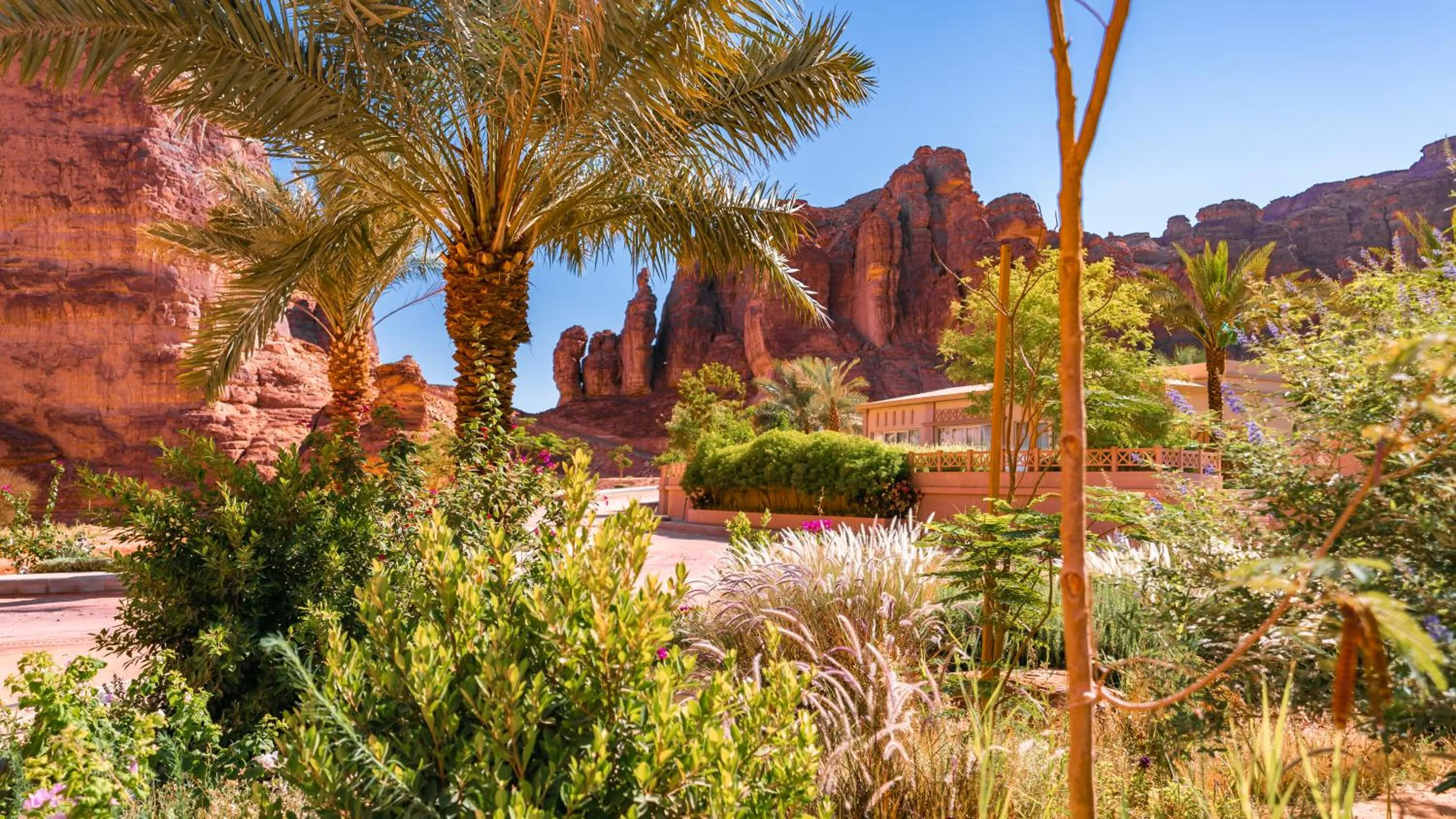 Property building in Shaden Resort