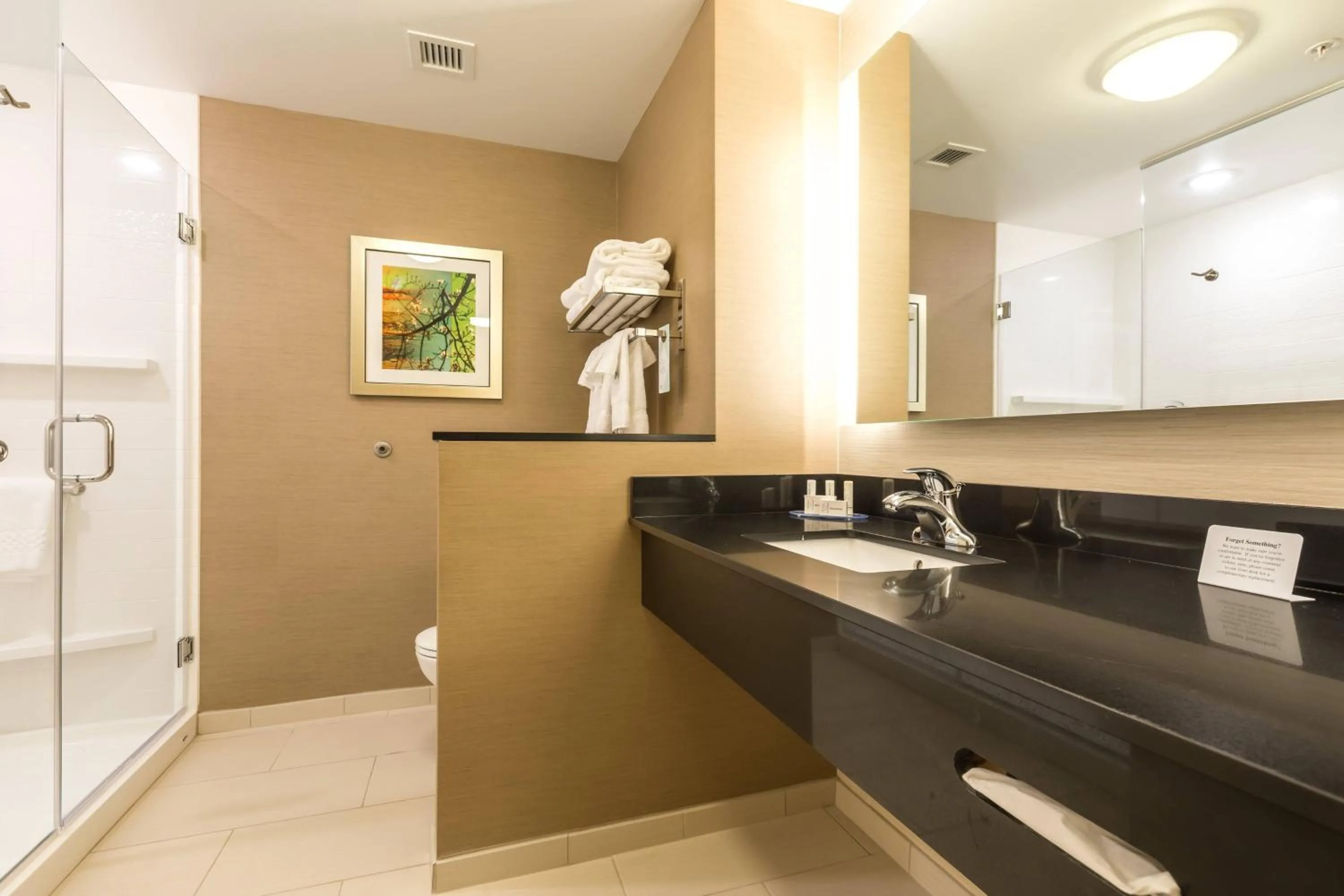 Bathroom in Fairfield Inn & Suites by Marriott Asheville Tunnel Road