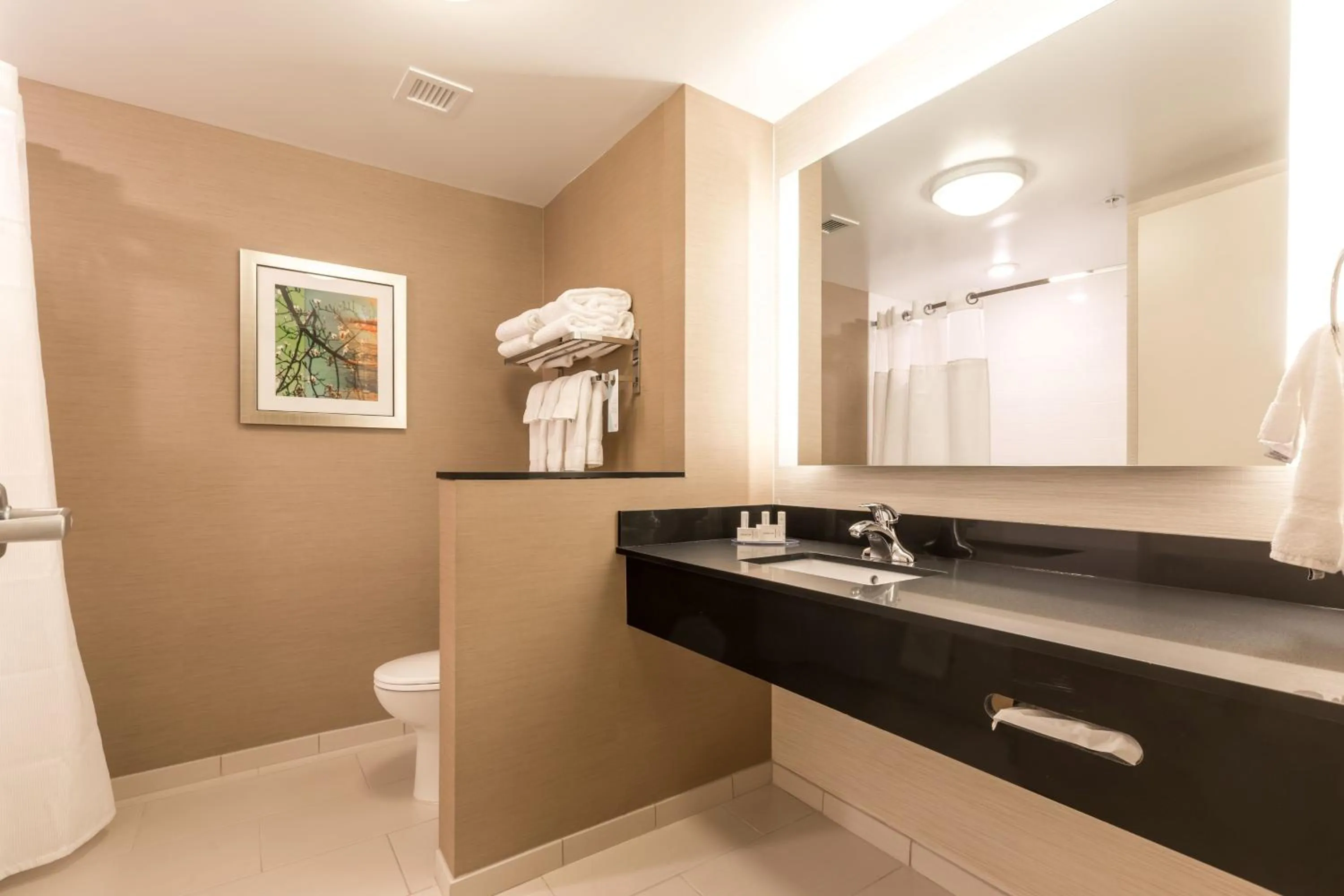 Bathroom in Fairfield Inn & Suites by Marriott Asheville Tunnel Road