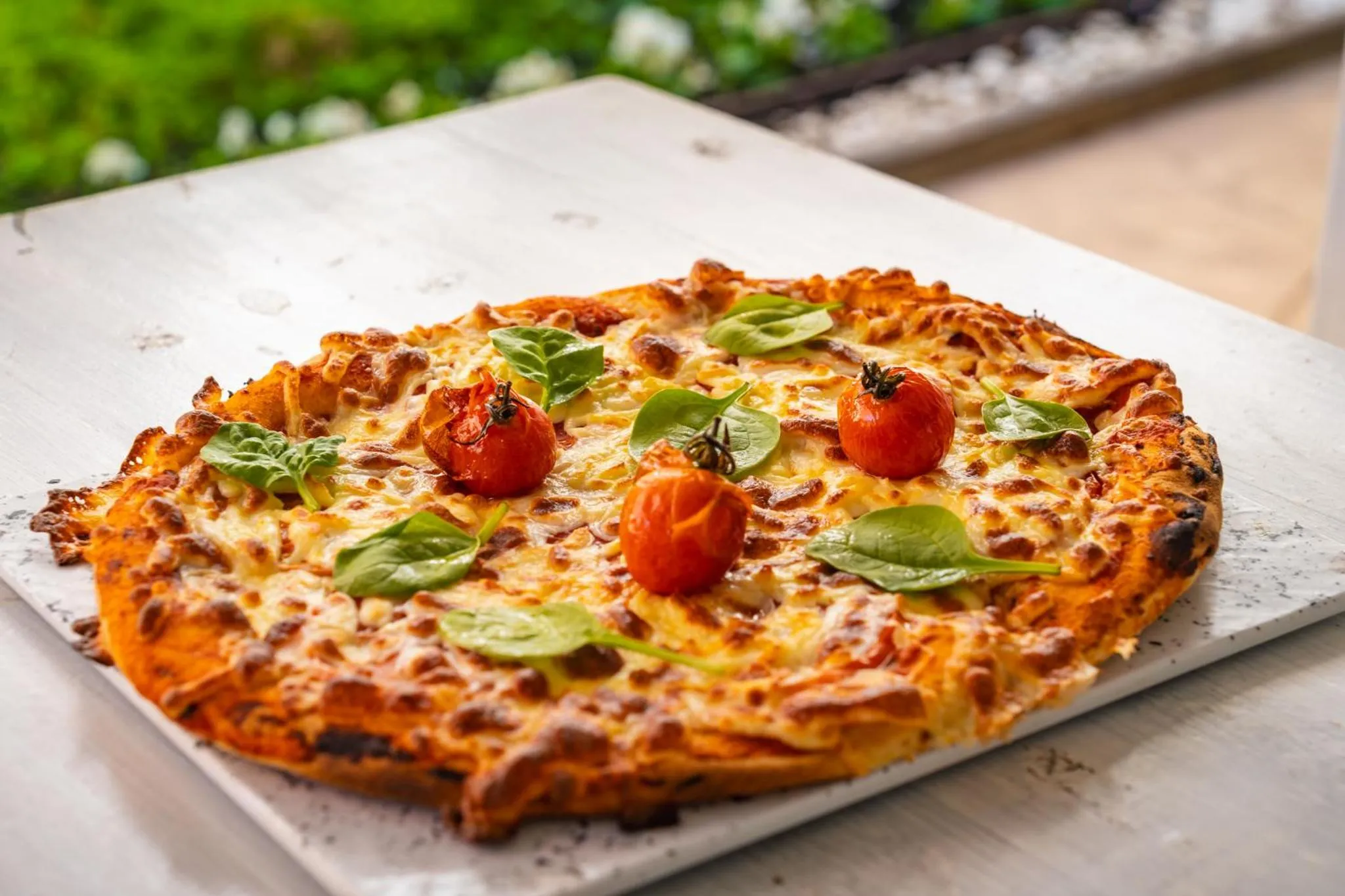 Restaurant/places to eat in Festa Via Pontica