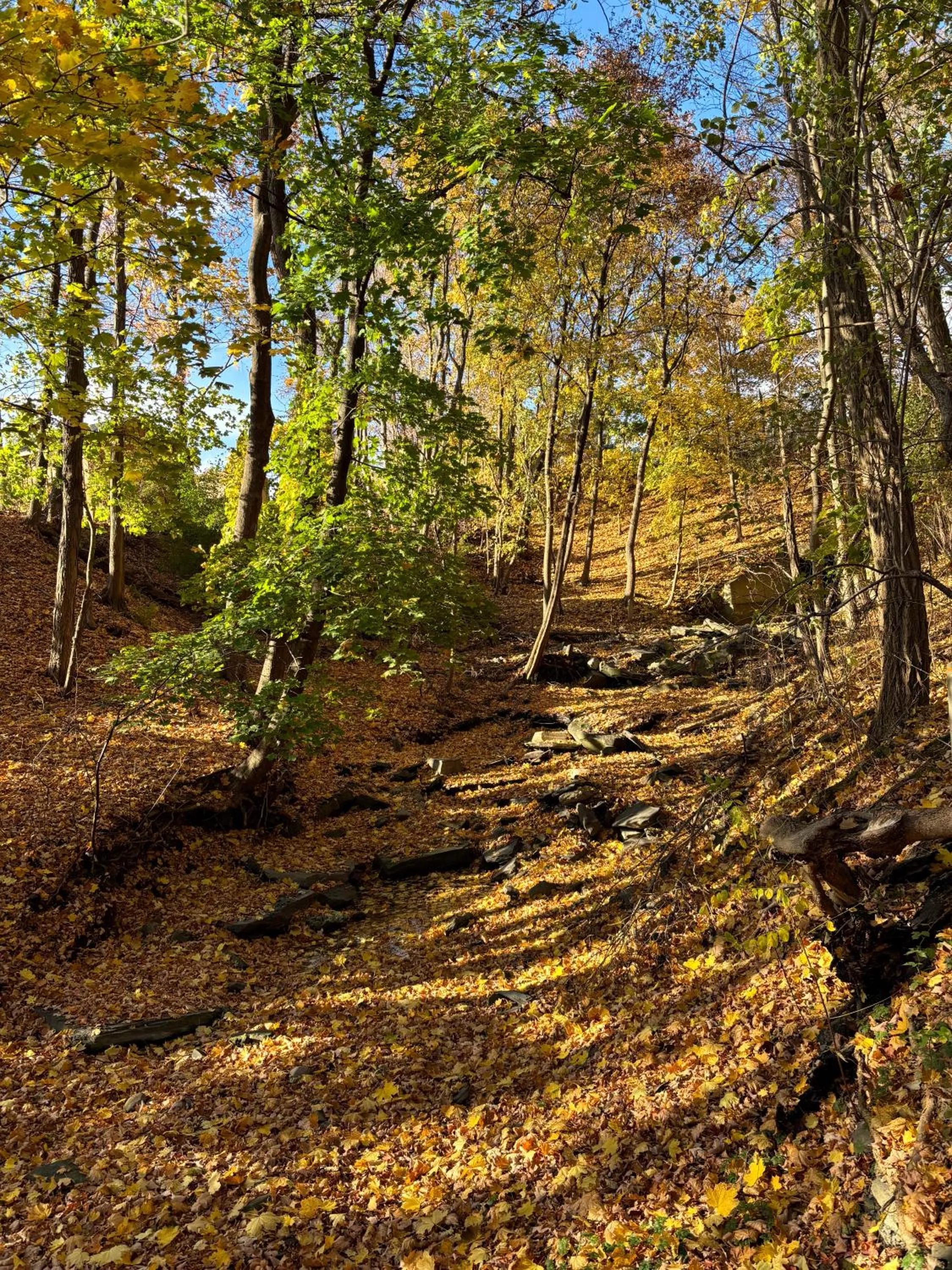 Hiking in Lakeside Resort