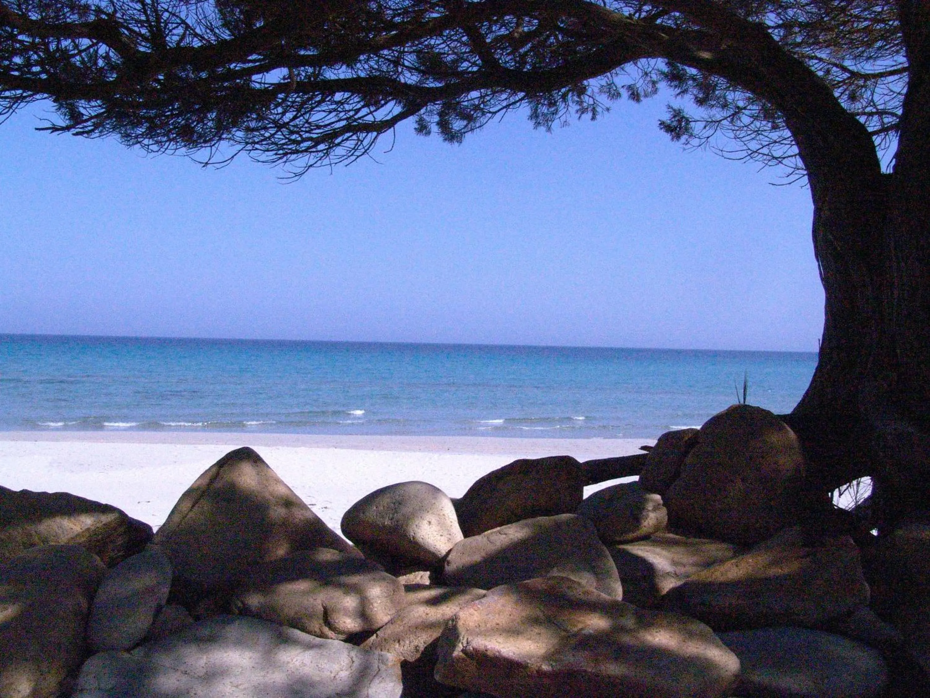 Area and facilities in Hotel Quasar