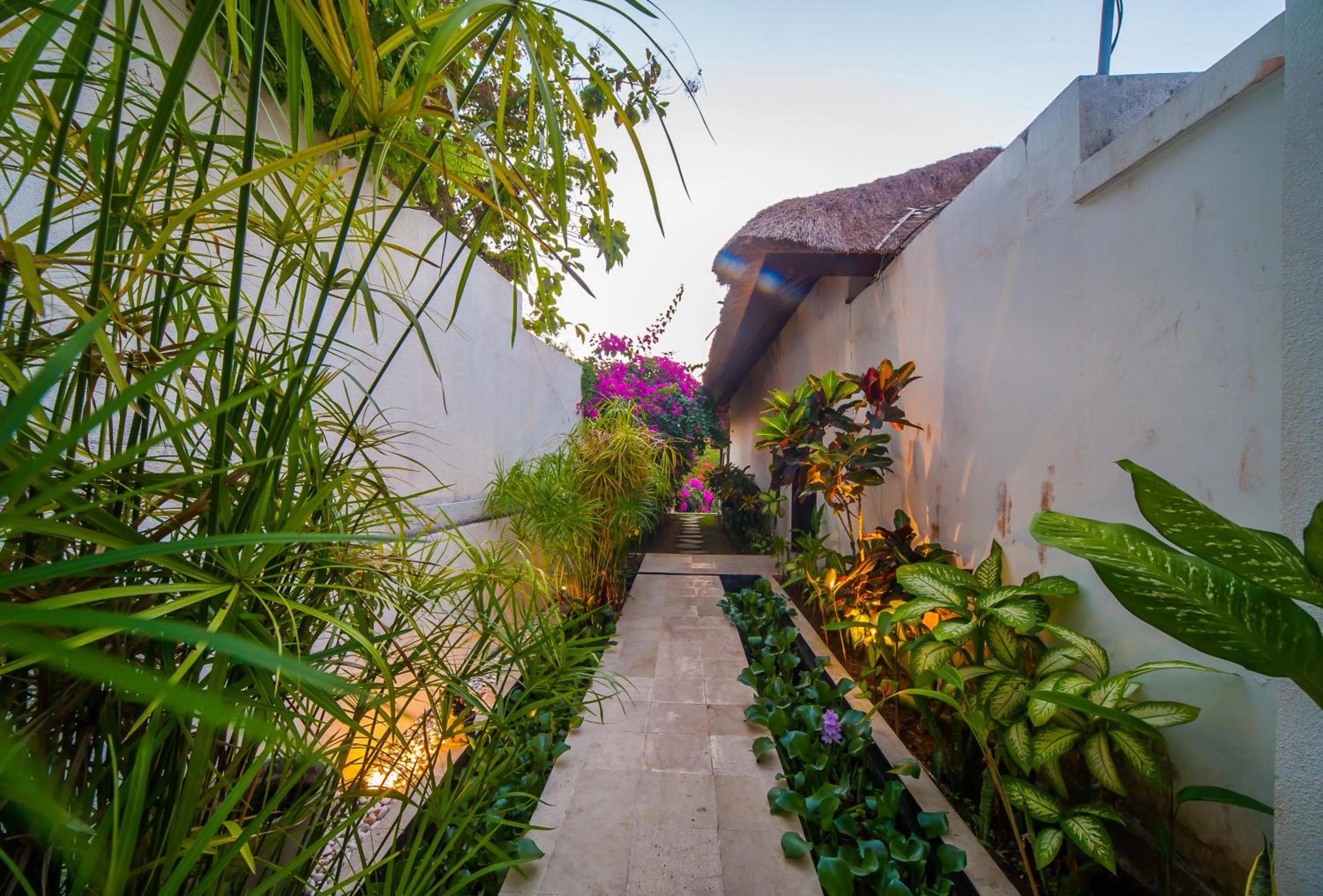 Garden in Villa Michiko