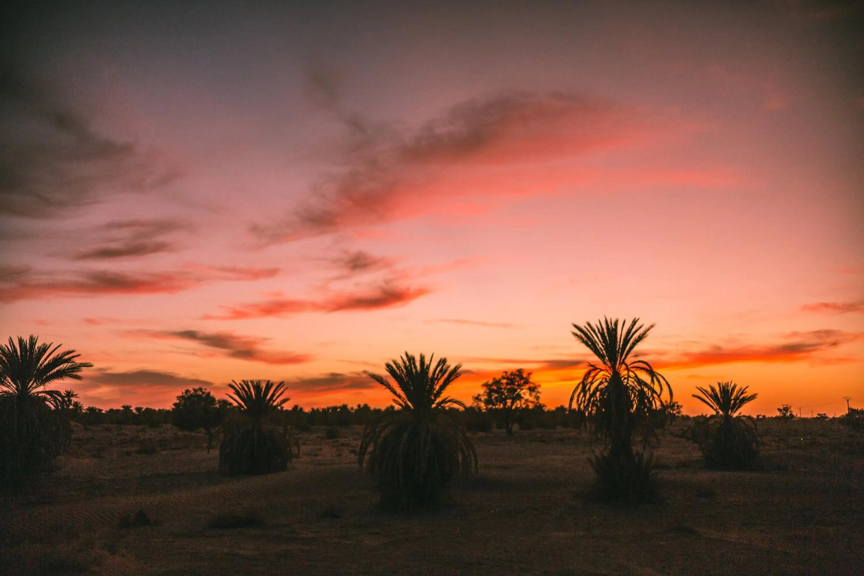 Garden view in Dar Azawad Boutique Hotel - Mhamid Sahara Stay