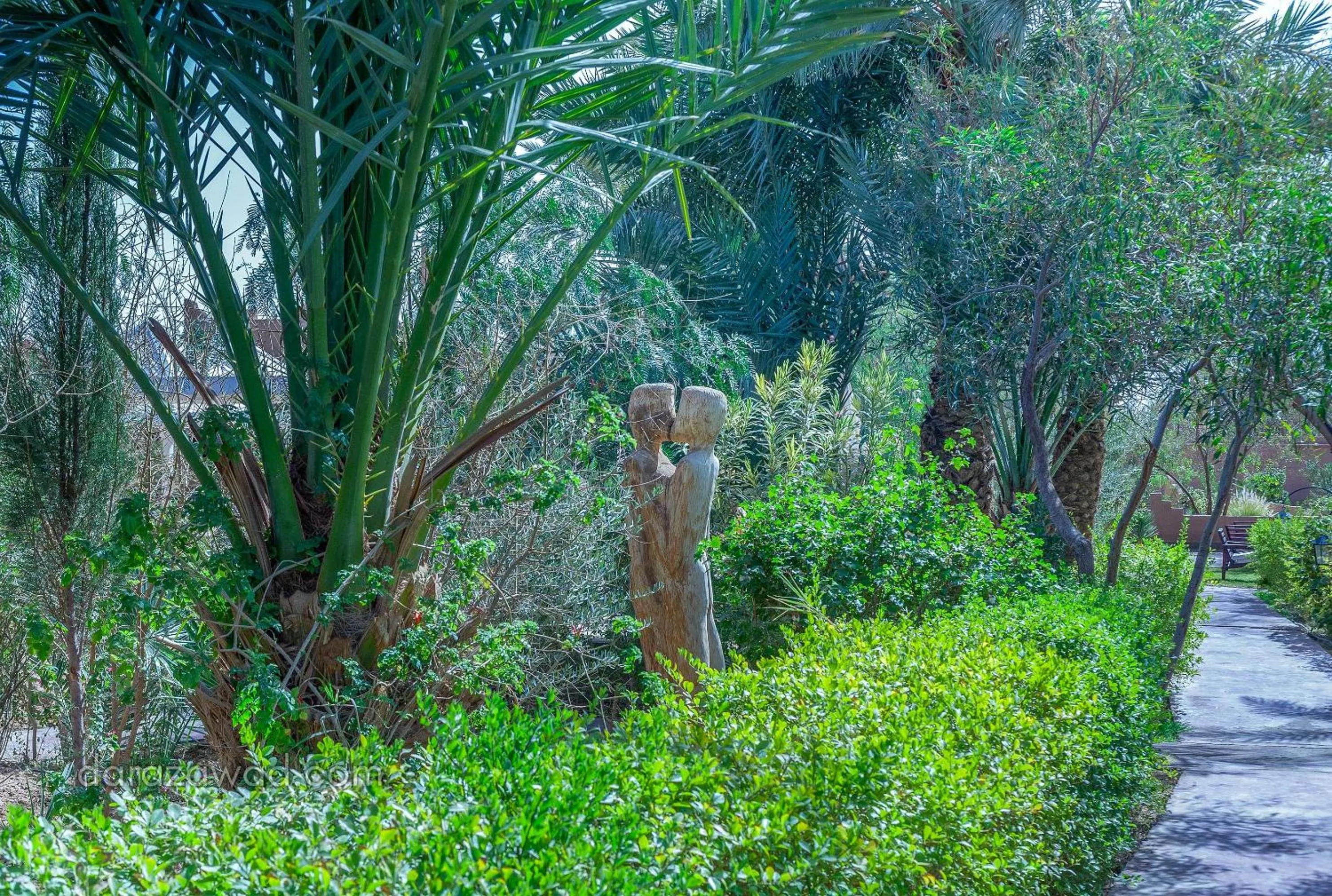 Natural landscape in Dar Azawad Boutique Hotel - Mhamid Sahara Stay