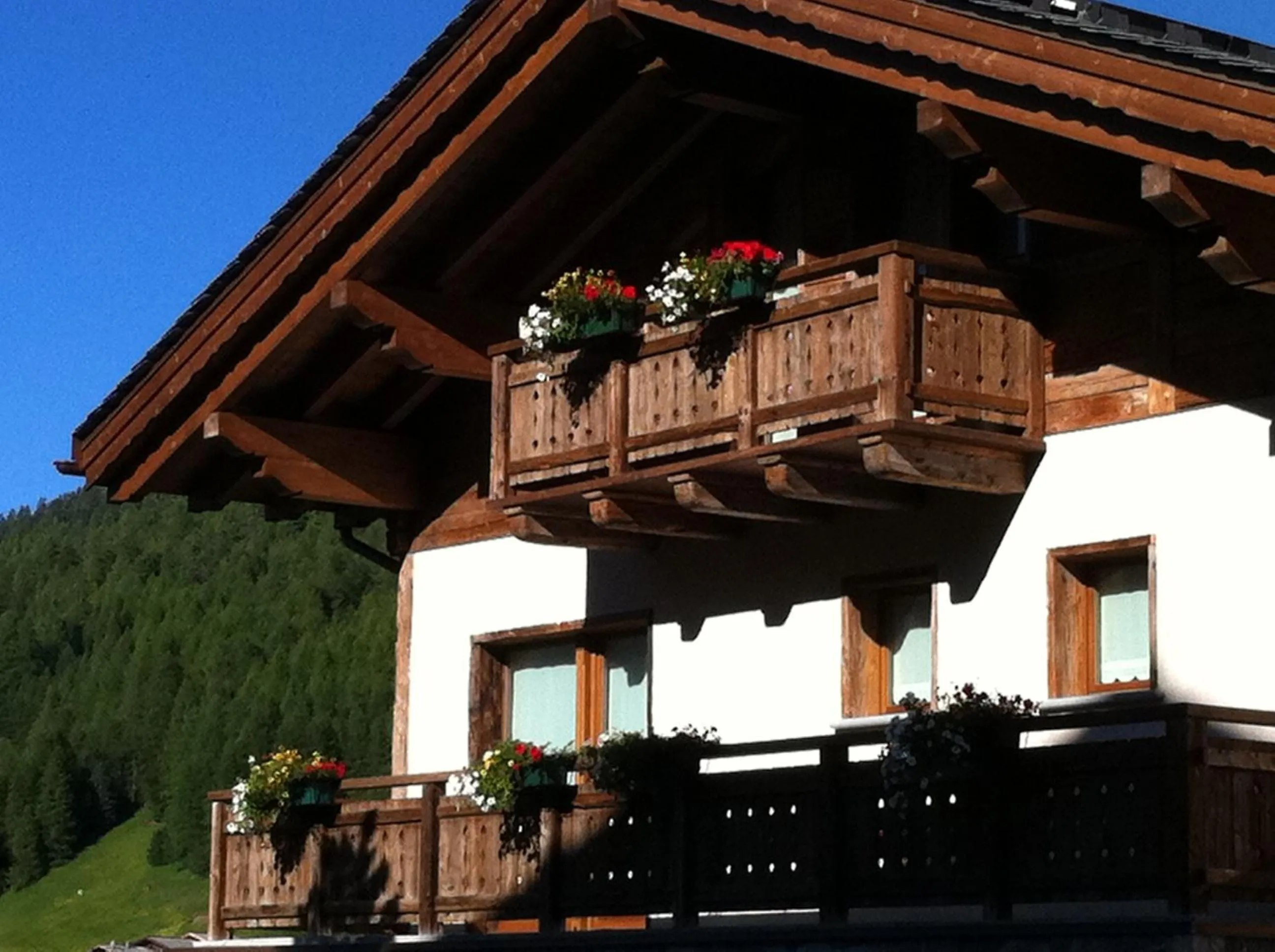 Property building in Paradise Lodge