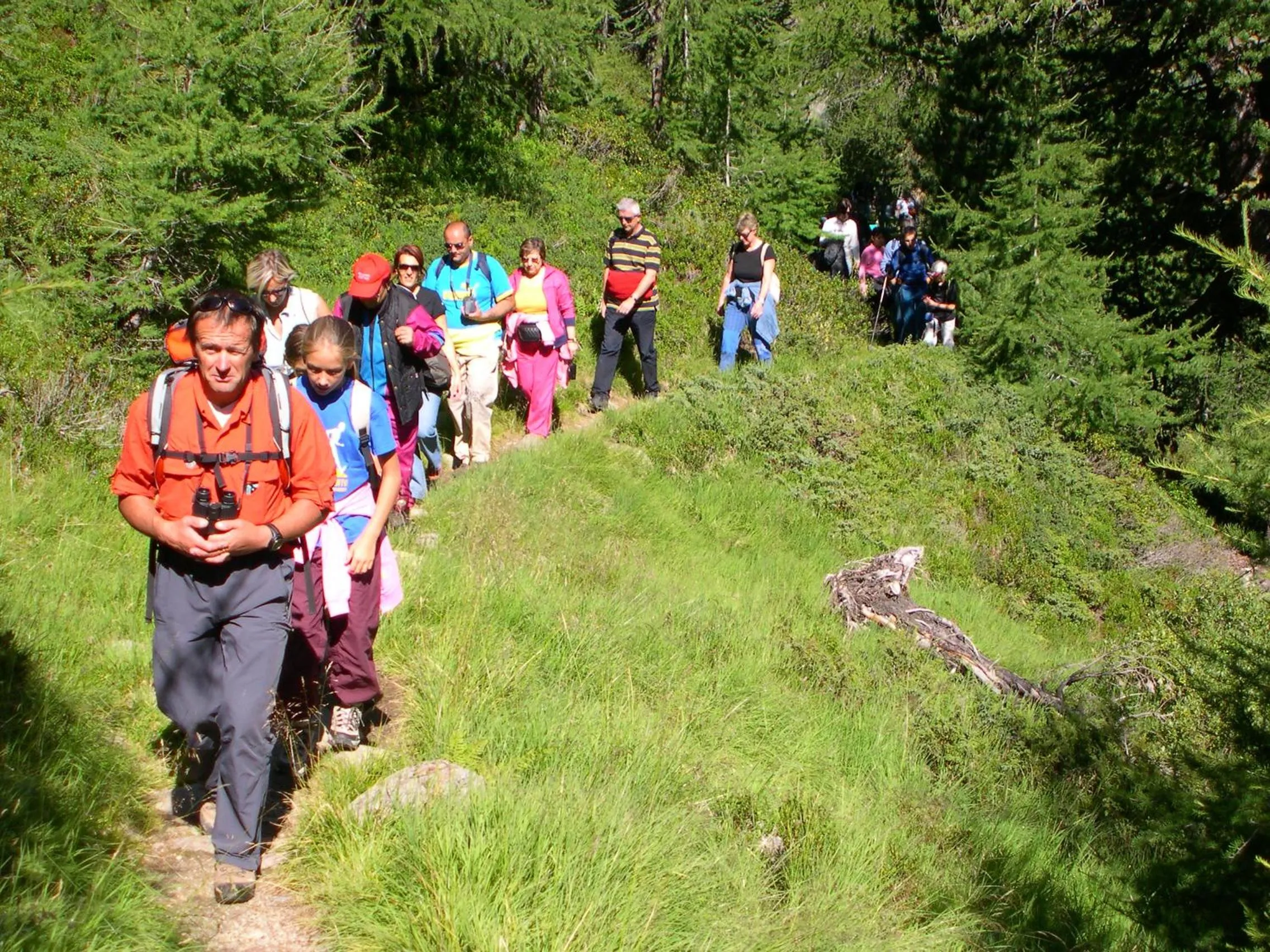 Hiking in Paradise Lodge