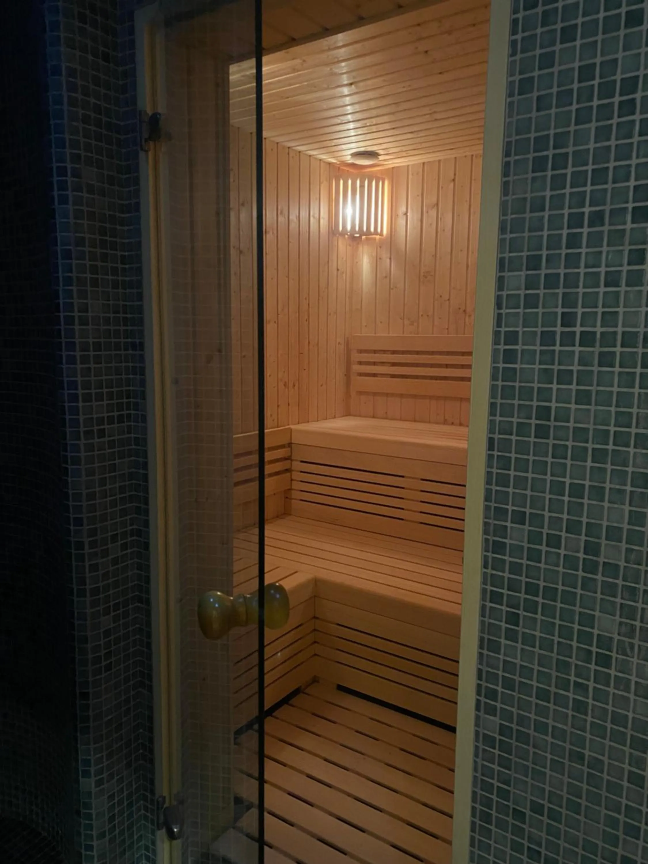 Sauna in Omega Hotel