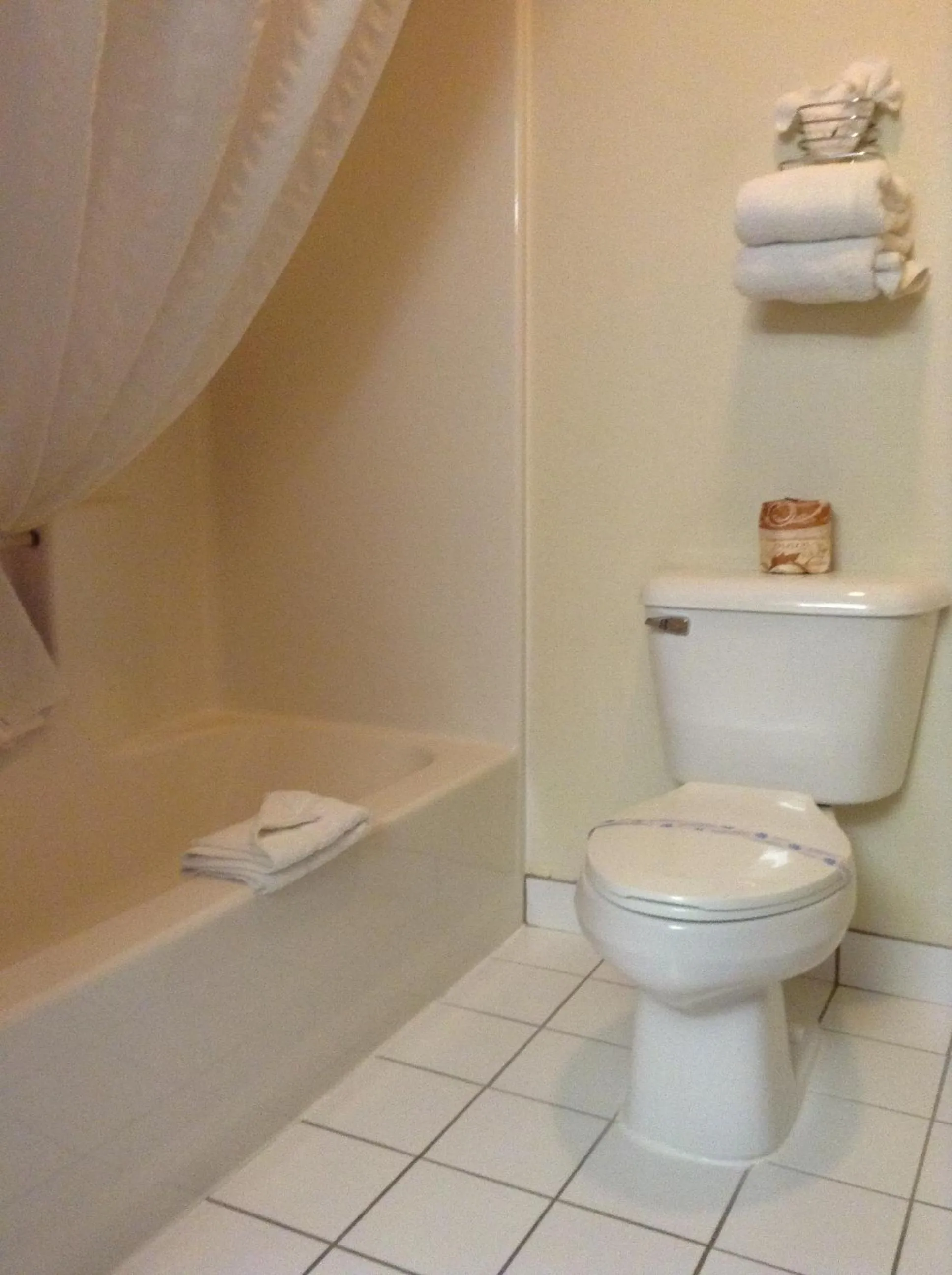 Toilet in Royal Inn Airport Salt Lake City