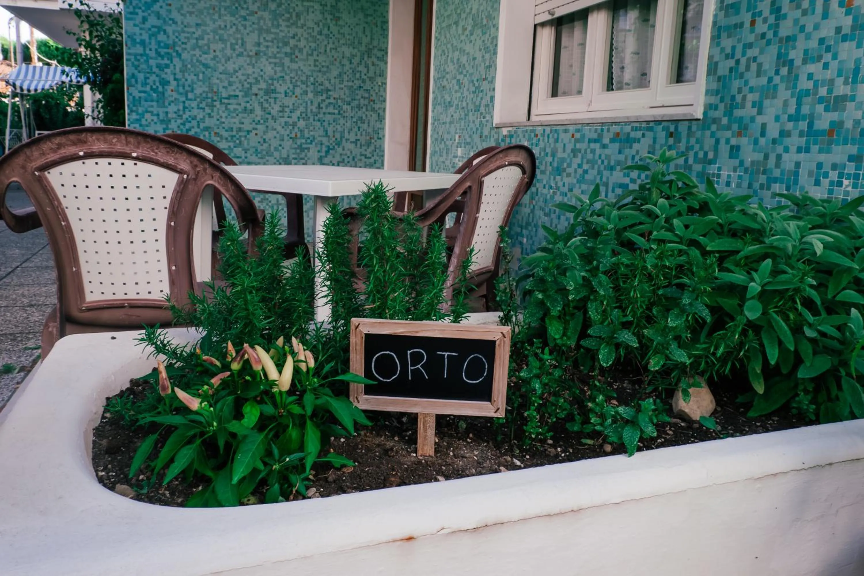 Garden in Hotel Jolie
