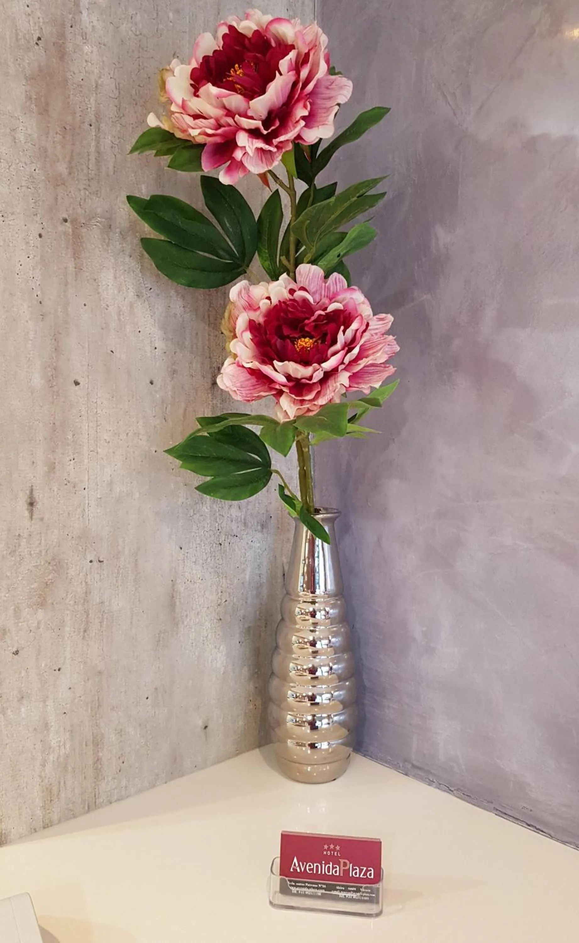 Lobby or reception in Hotel Avenida Plaza