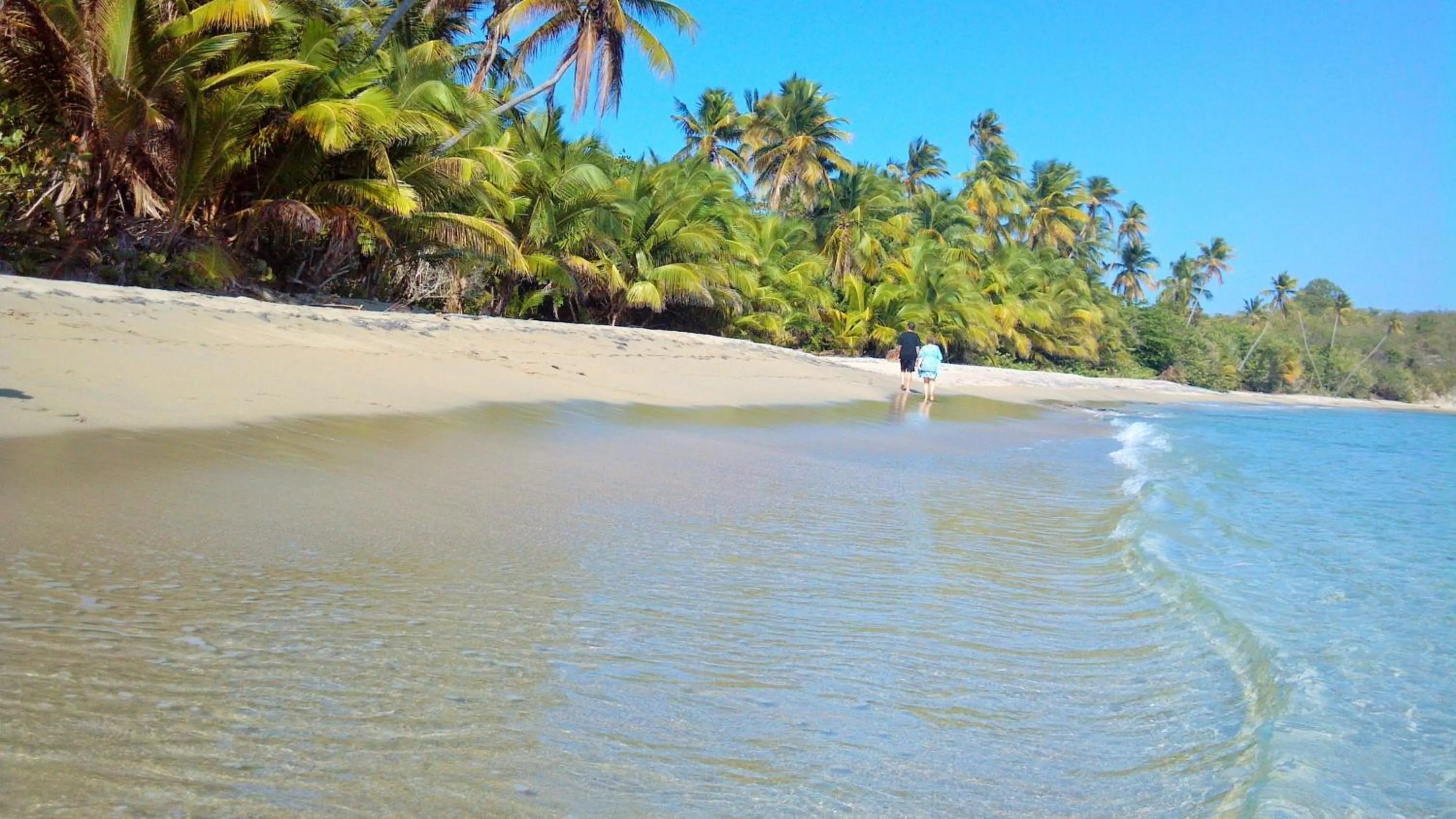 Beach in Blue Horizon Boutique Resort