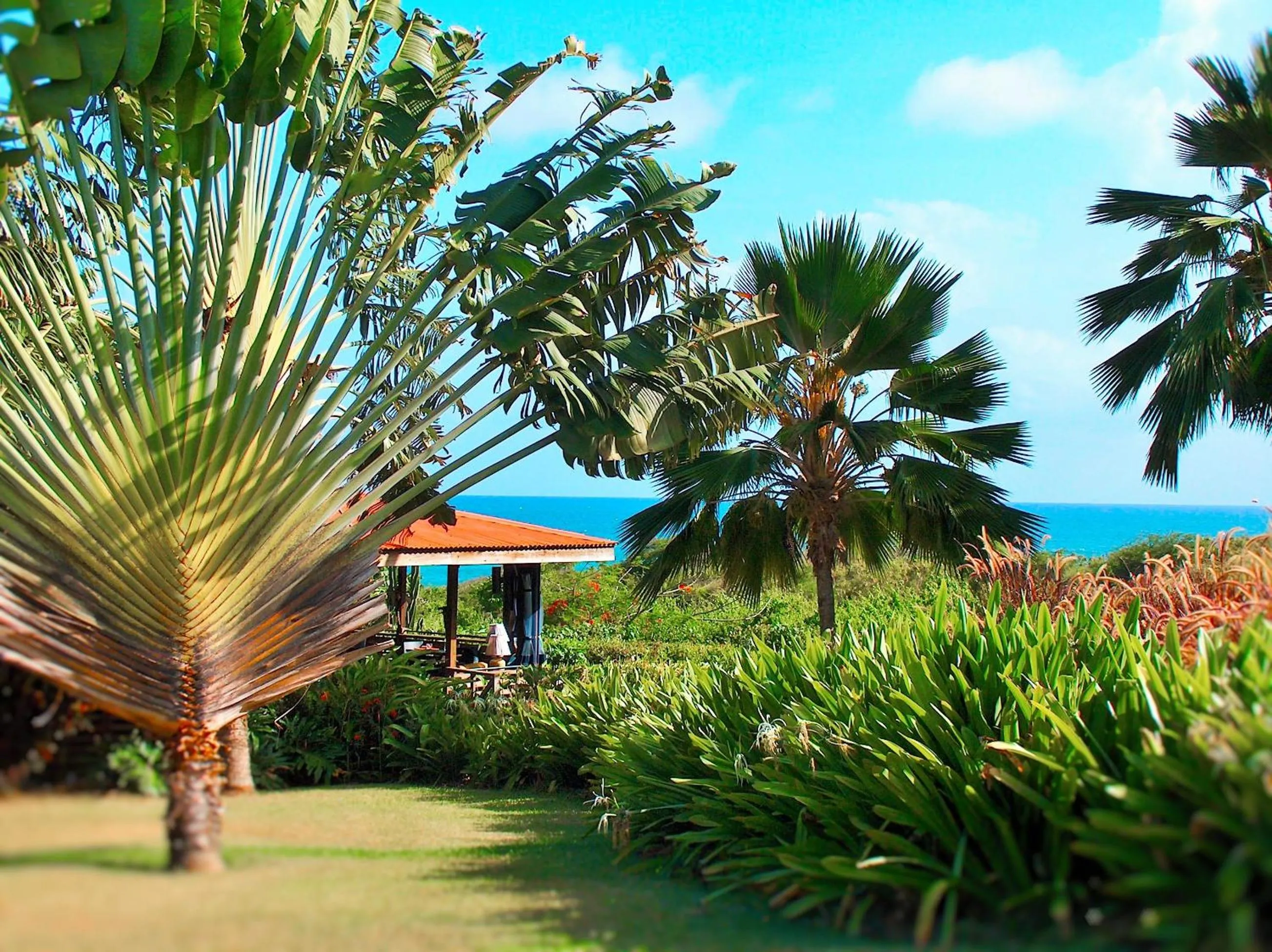Garden in Blue Horizon Boutique Resort