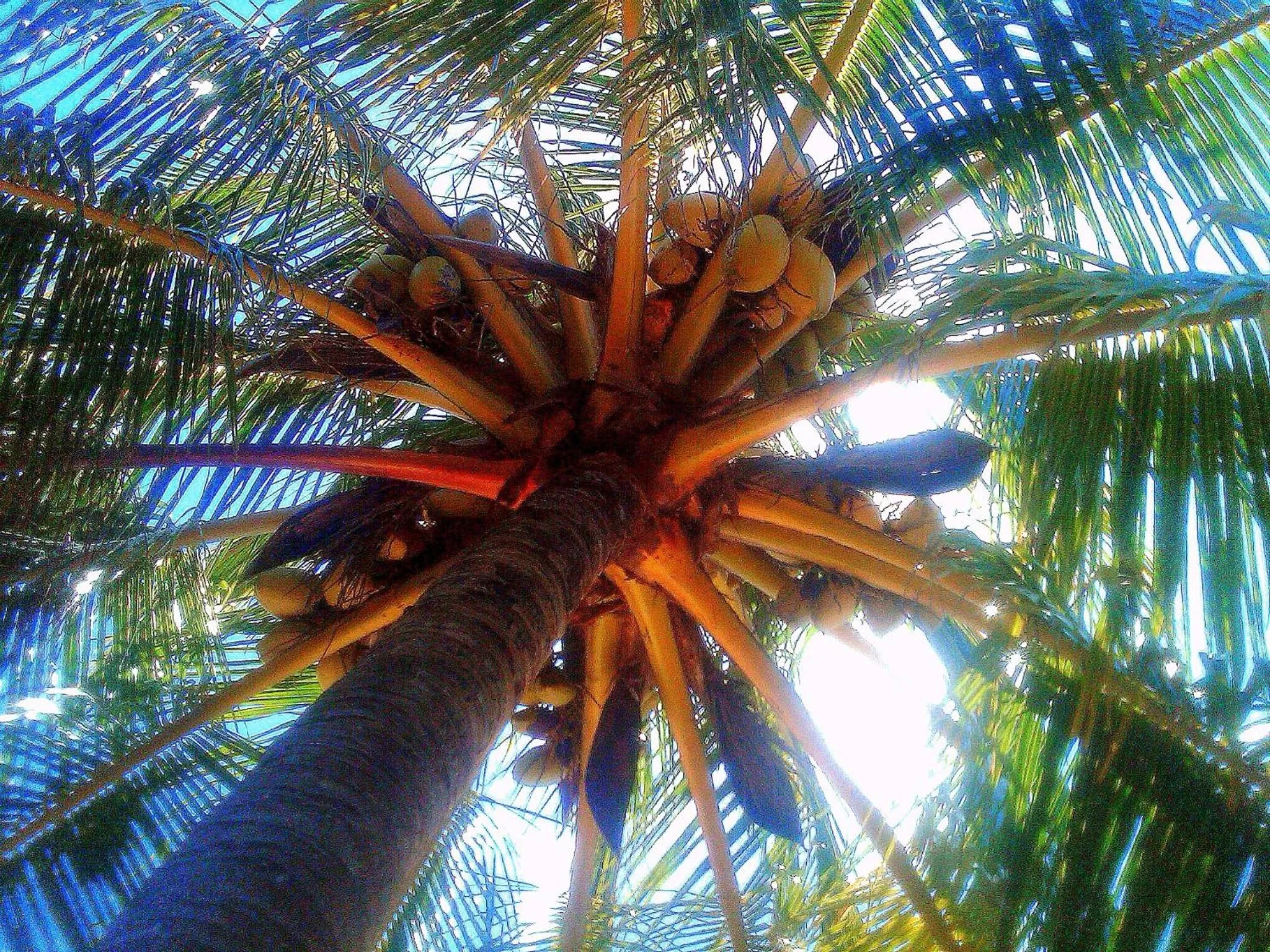 Facade/entrance in Blue Horizon Boutique Resort