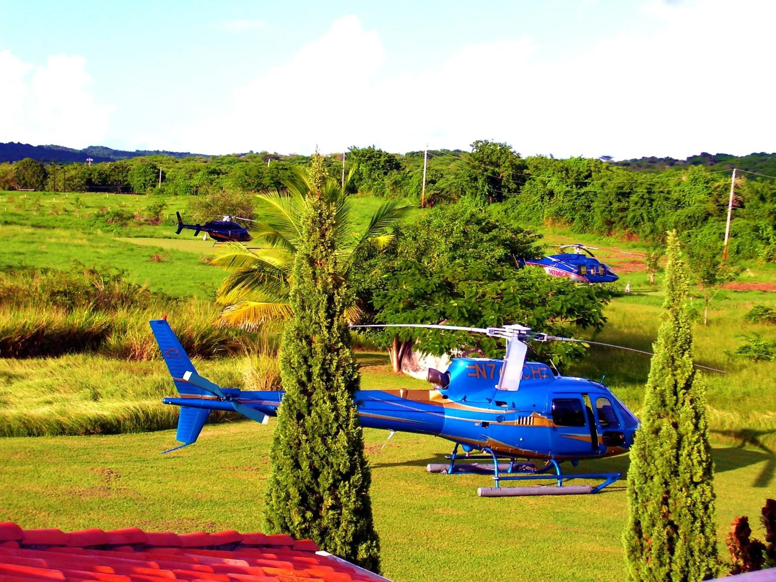 Garden in Blue Horizon Boutique Resort
