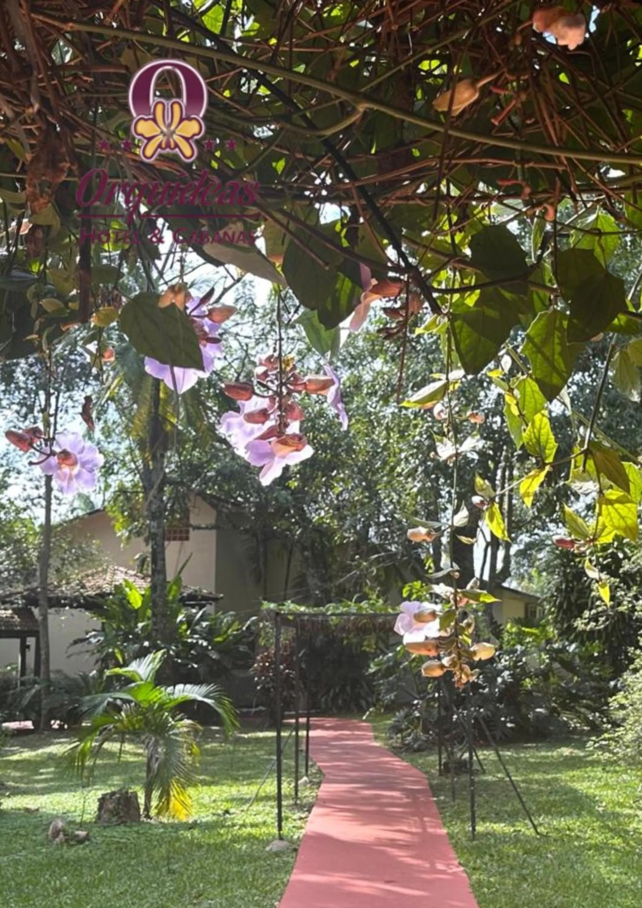 Garden in Orquideas Hotel & Cabañas
