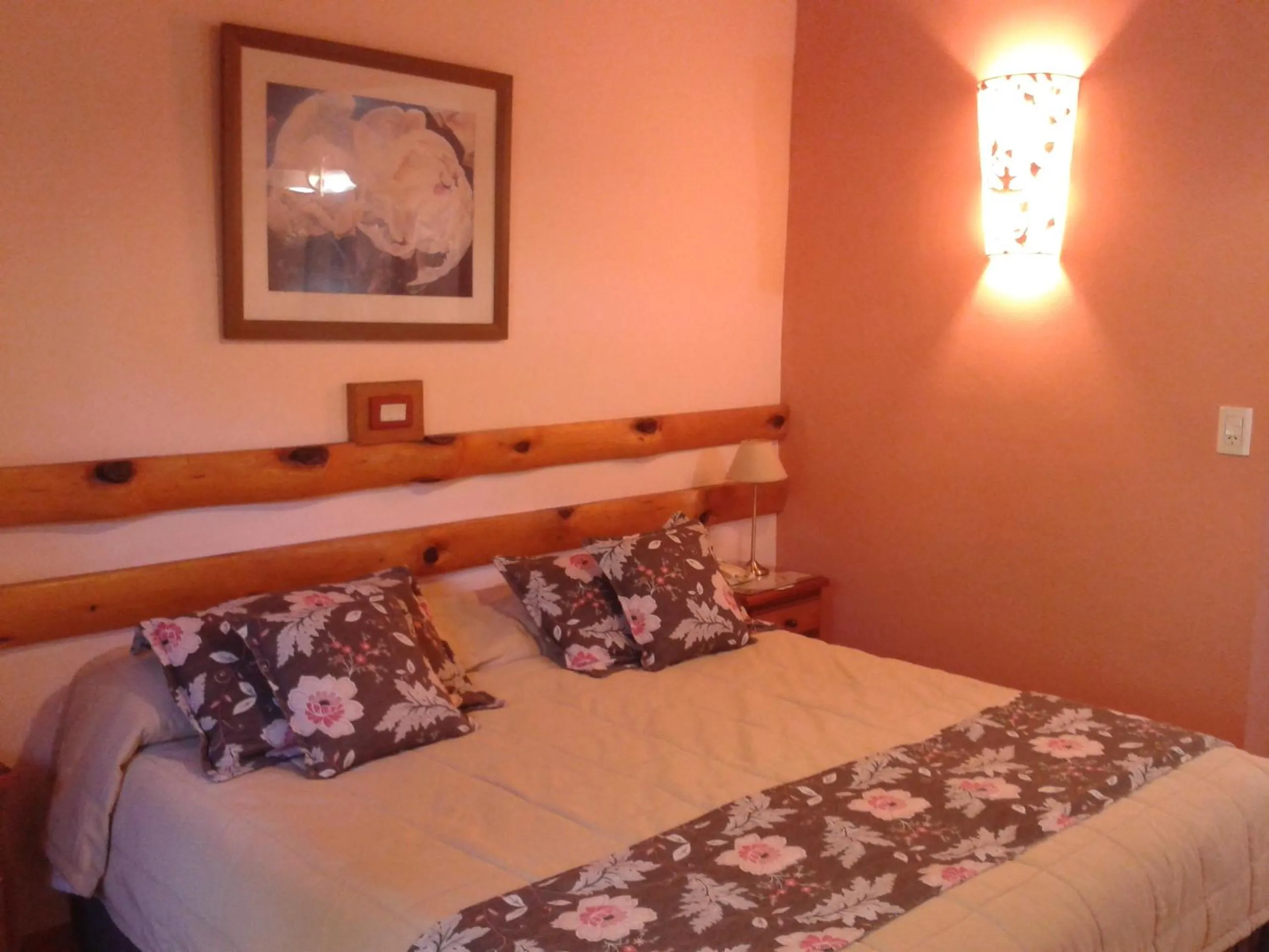 Standard  Room in Orquideas Hotel & Cabañas