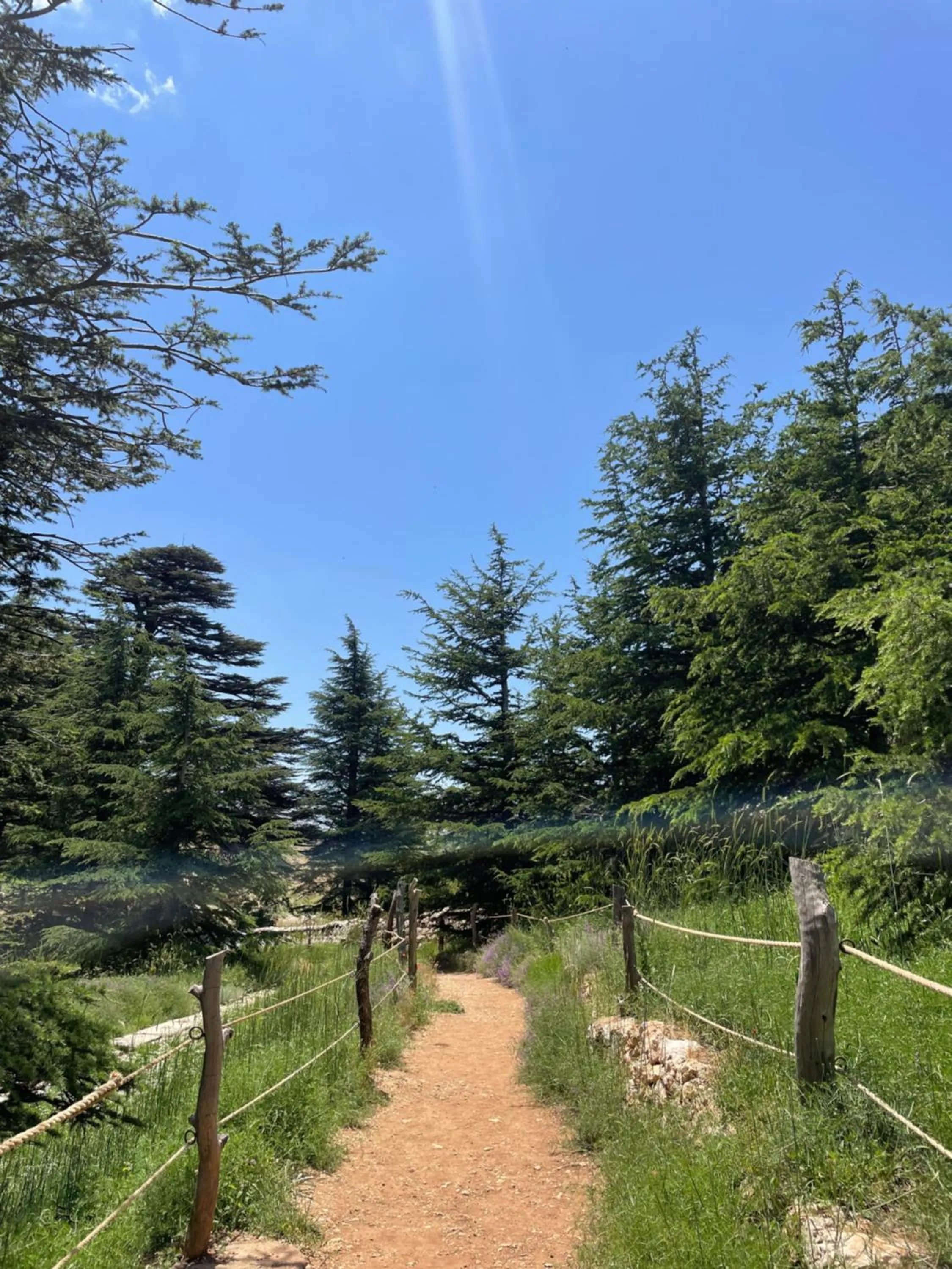 Nearby landmark in Le Cedrus Hotel