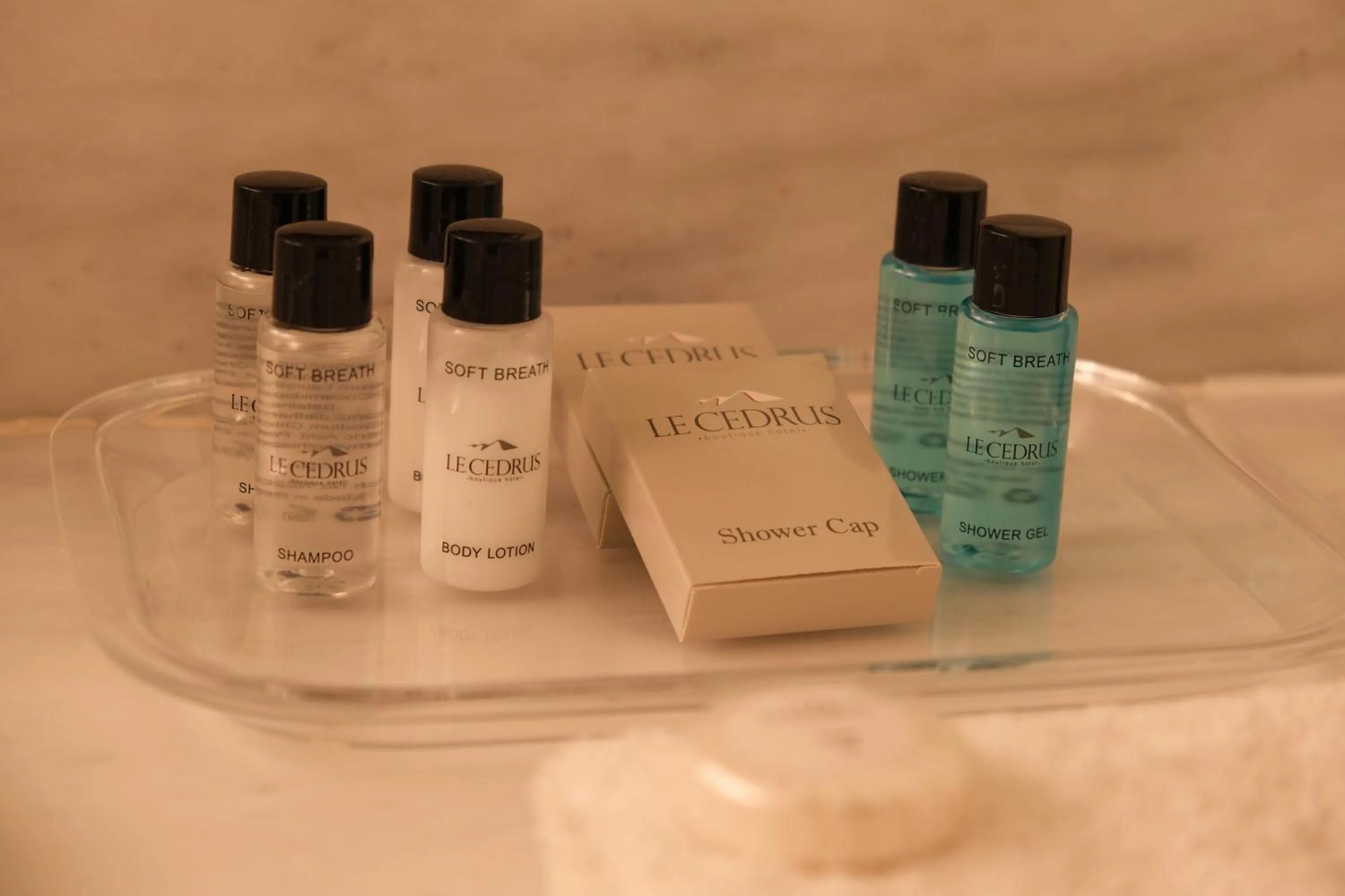 Toilet in Le Cedrus Hotel