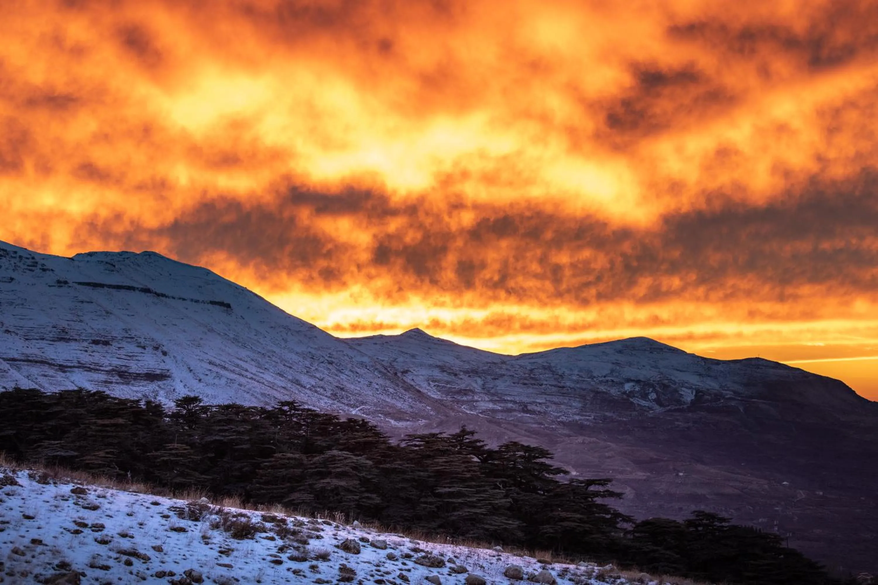 Nearby landmark in Le Cedrus Hotel