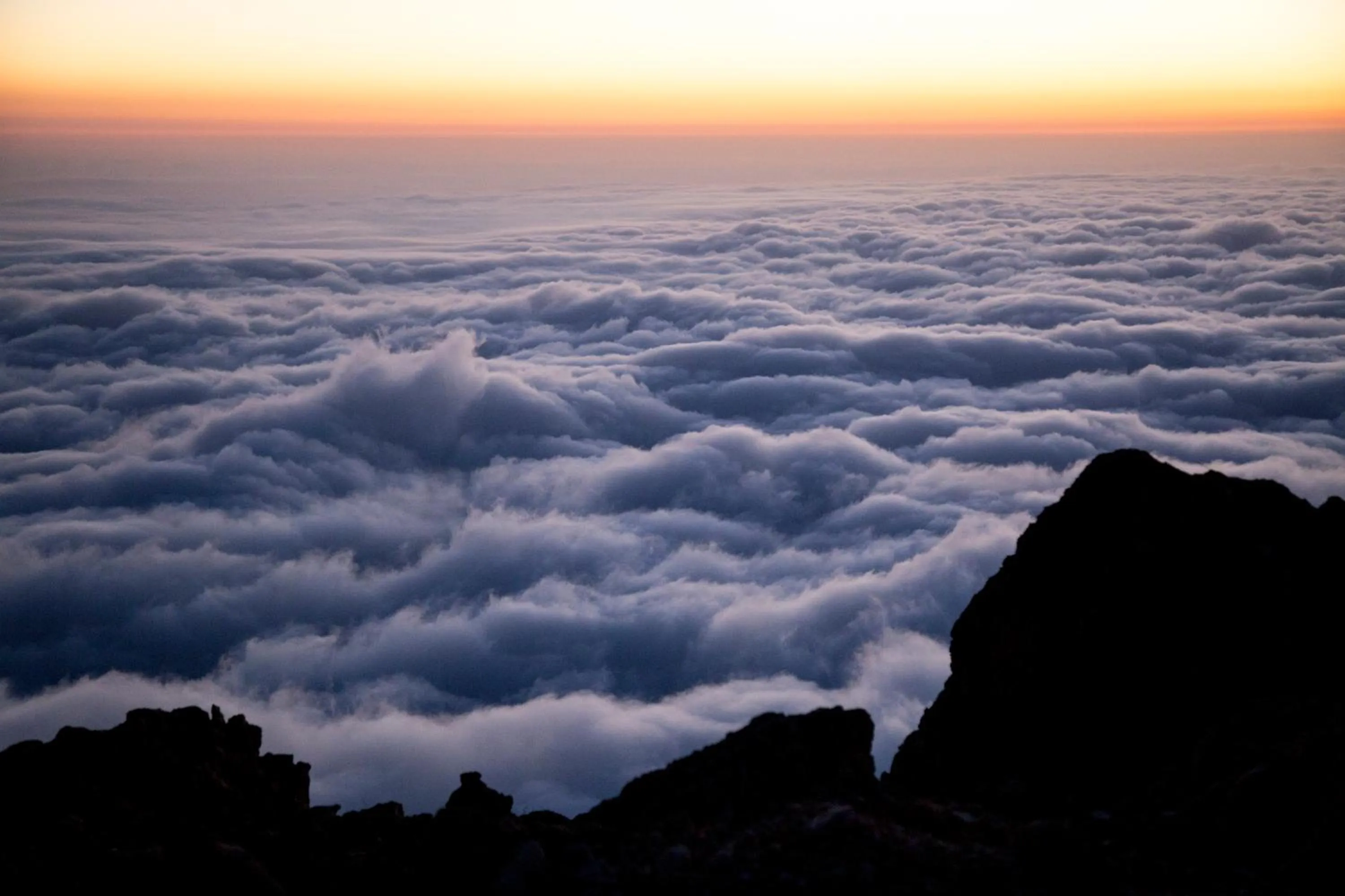 Natural landscape in Le Cedrus Hotel