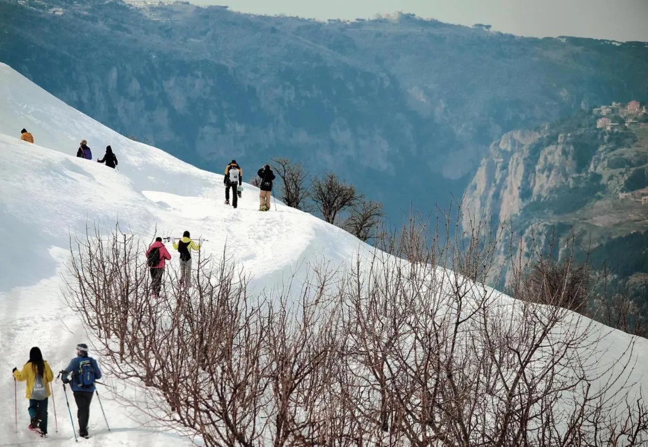 Day in Le Cedrus Hotel