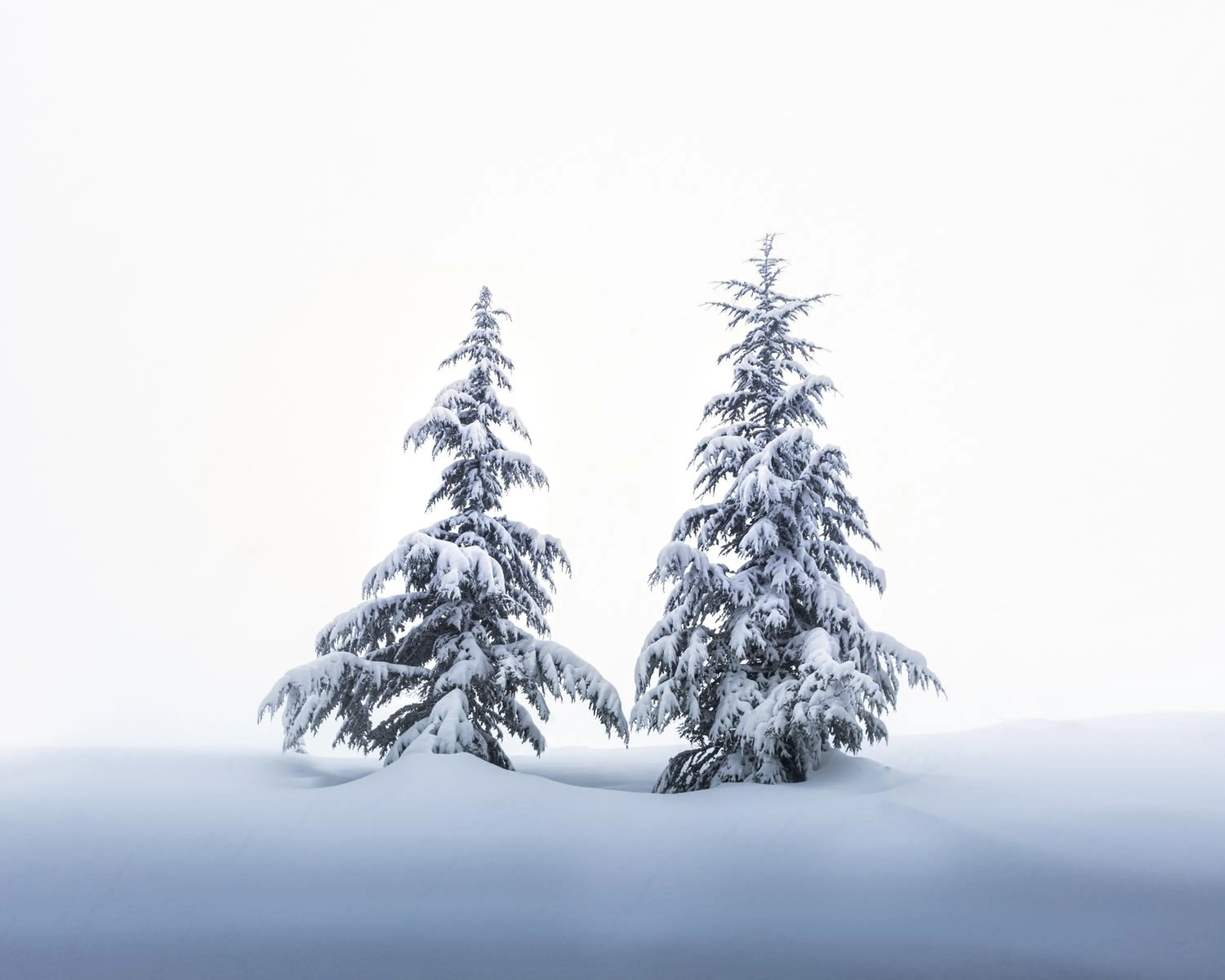 Natural landscape in Le Cedrus Hotel