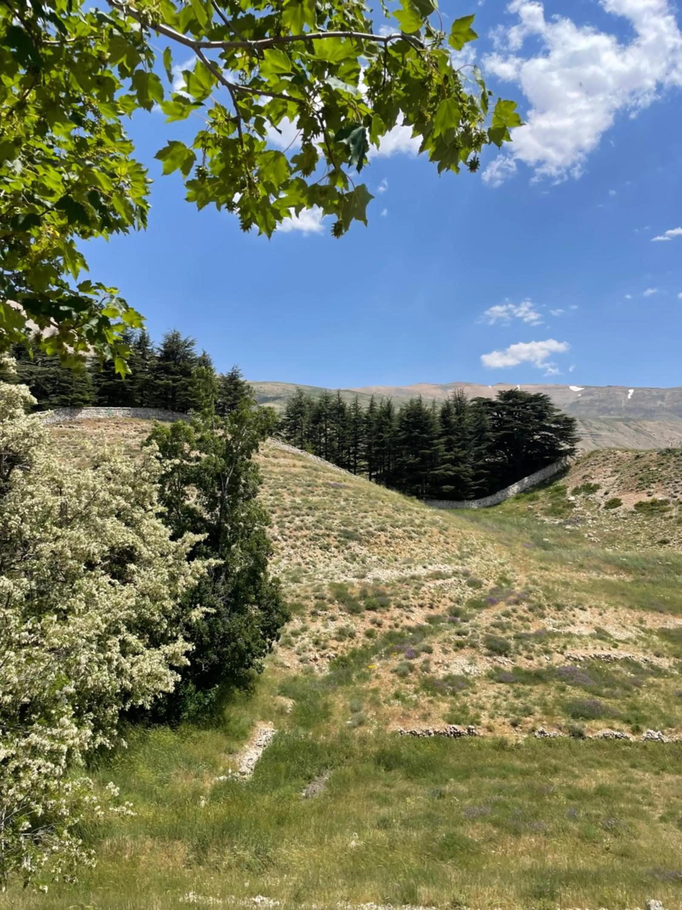 Nearby landmark in Le Cedrus Hotel