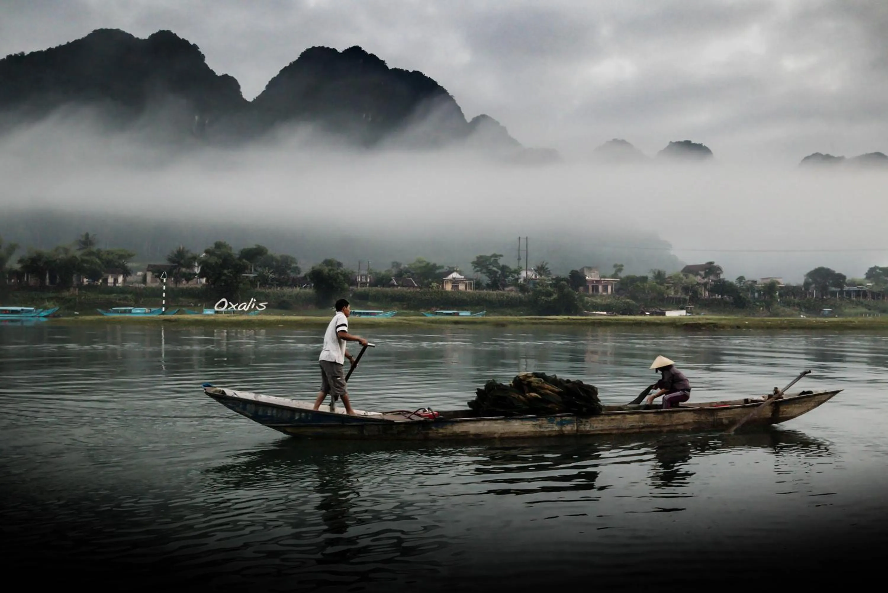 Natural landscape in Oxalis Home