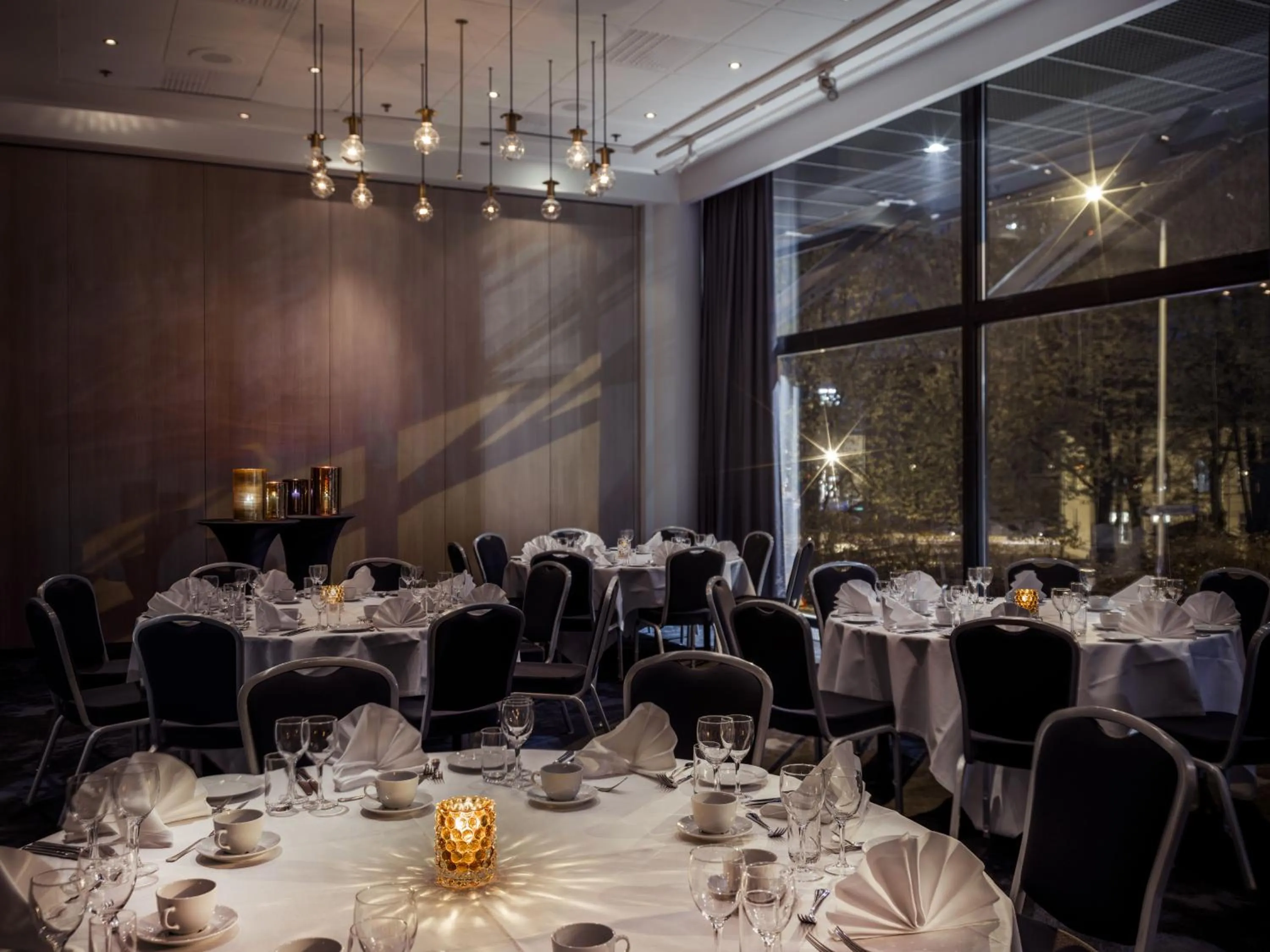 Banquet/Function facilities in Radisson Blu Scandinavia Hotel, Oslo