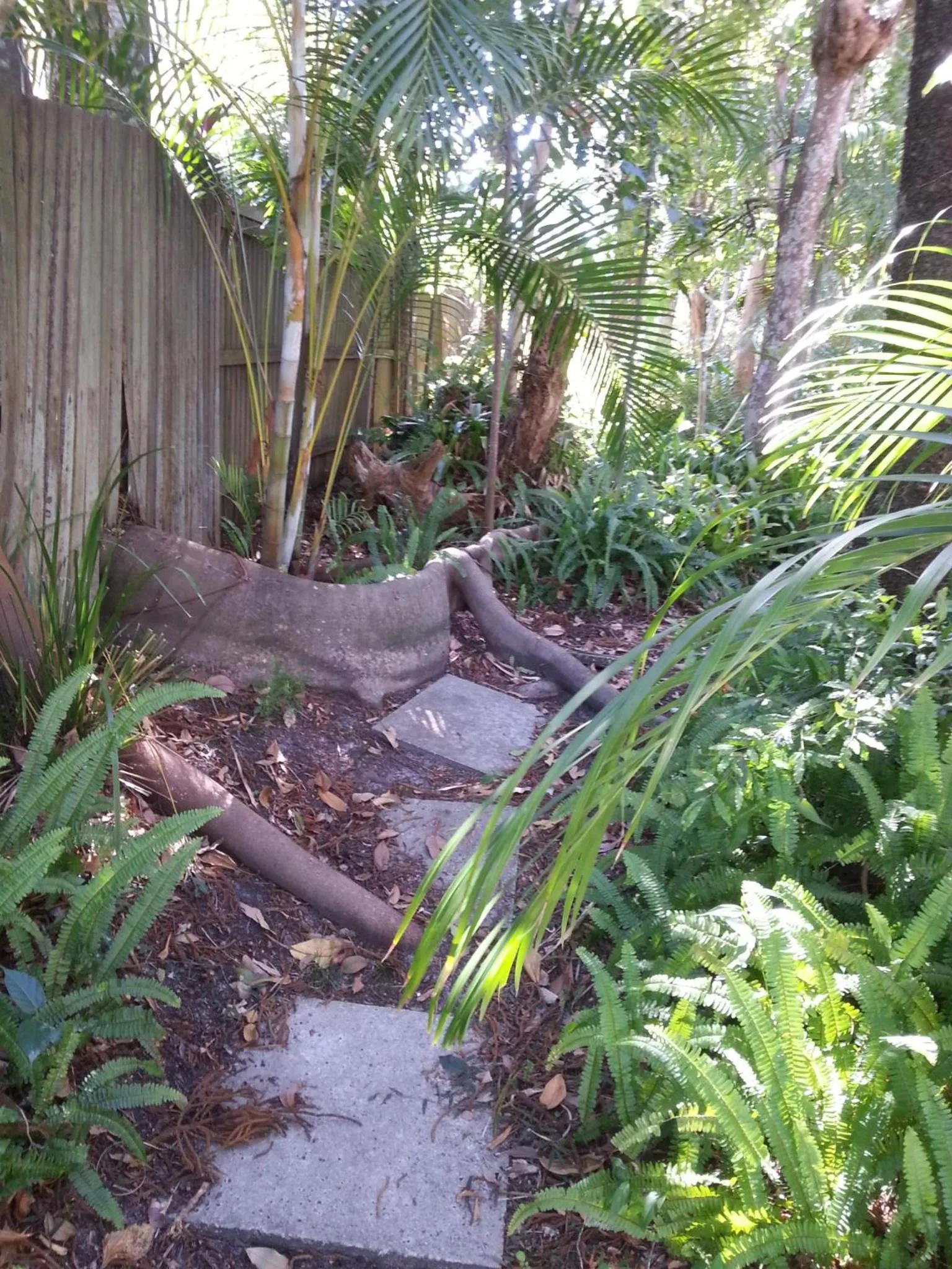 Garden in Bali Hai Apartments Noosa