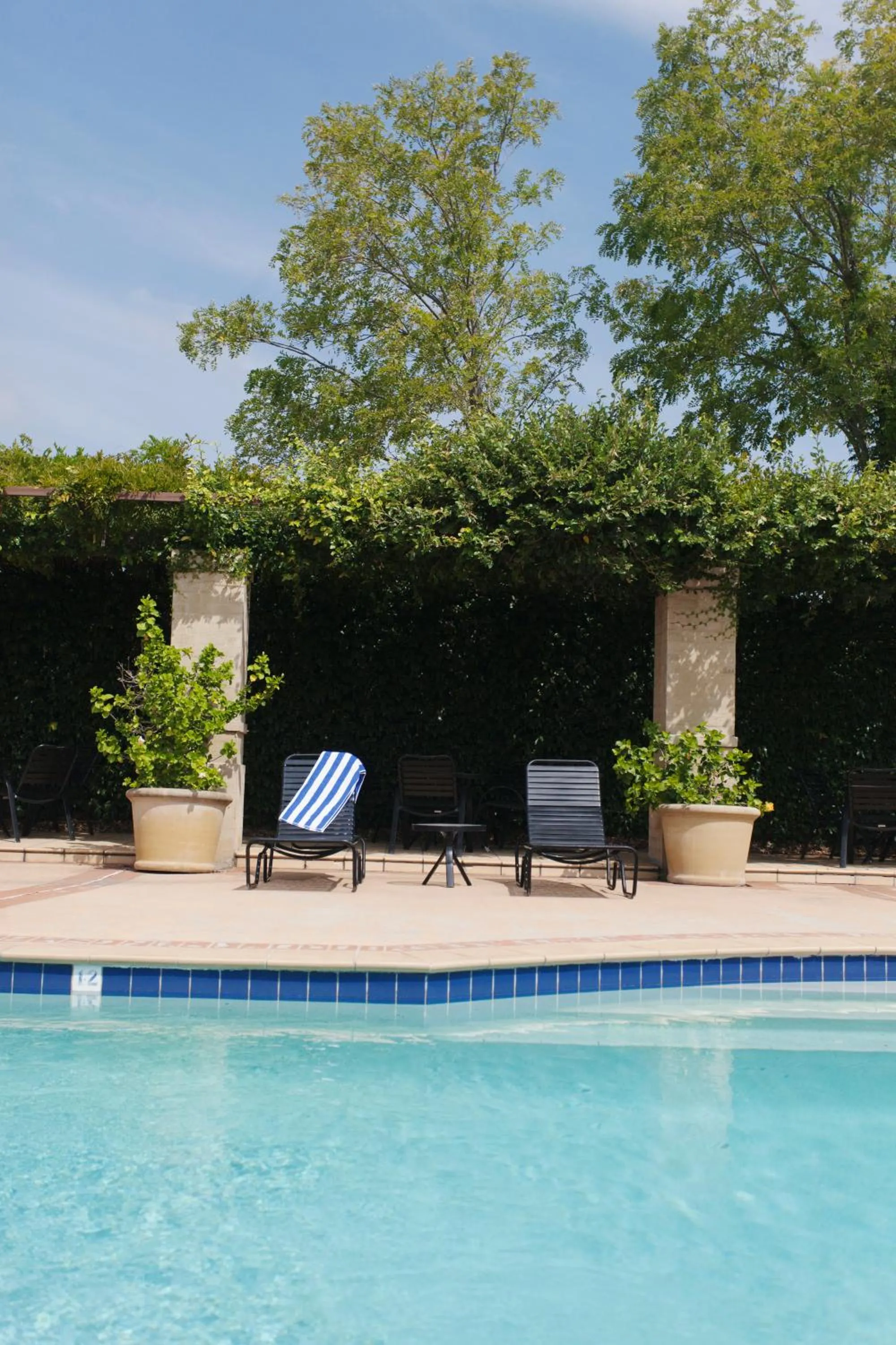 Swimming pool in Harrigan's Hunter Valley