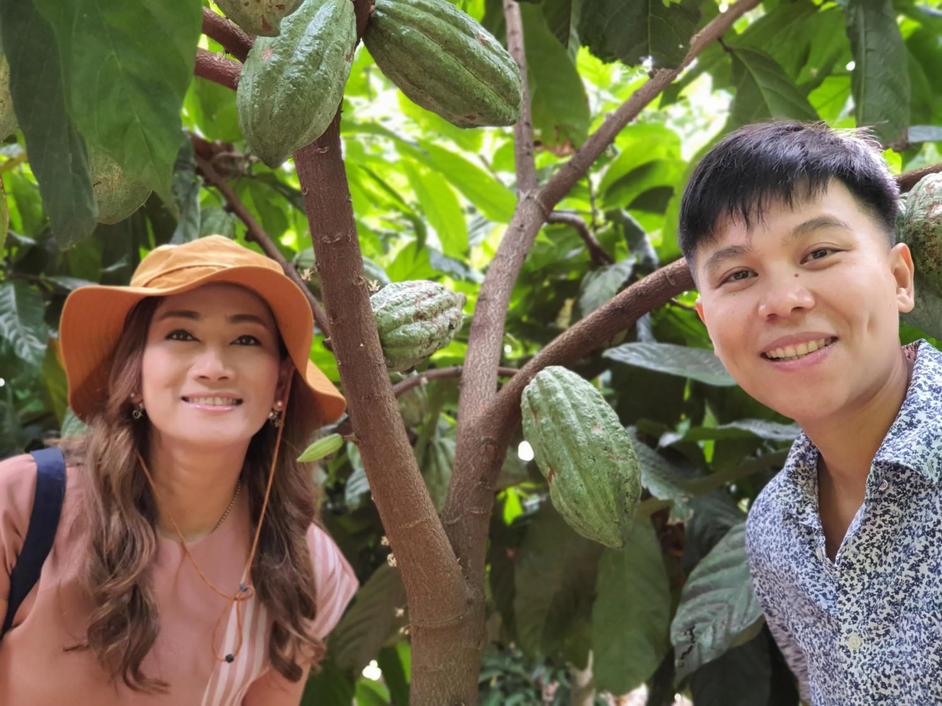 Saengcha Farm Resort