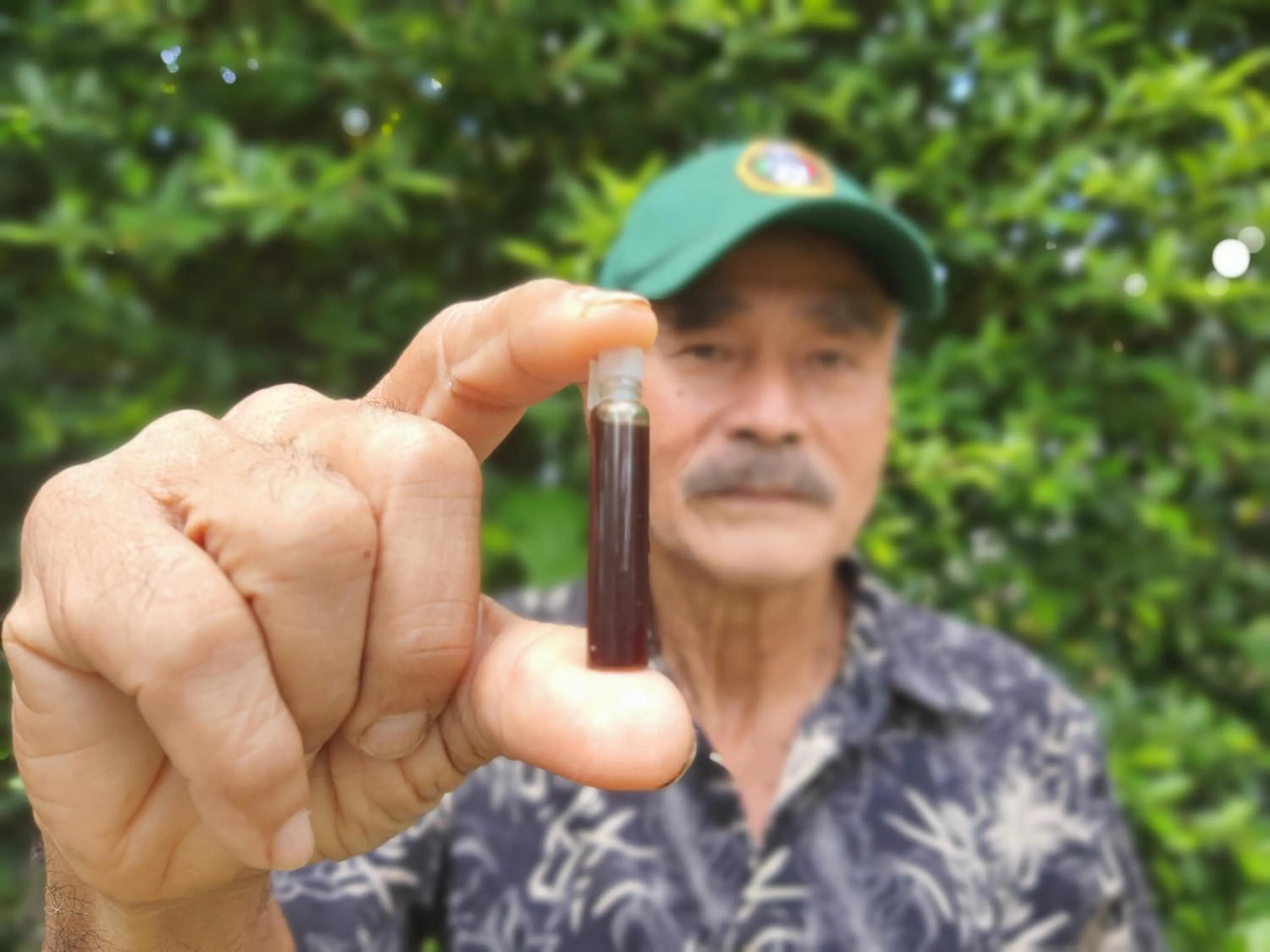 Saengcha Farm Resort