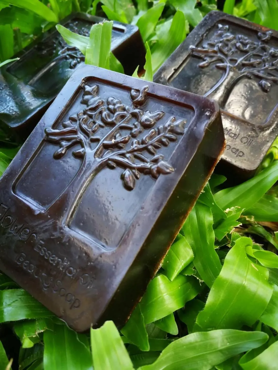 Saengcha Farm Resort