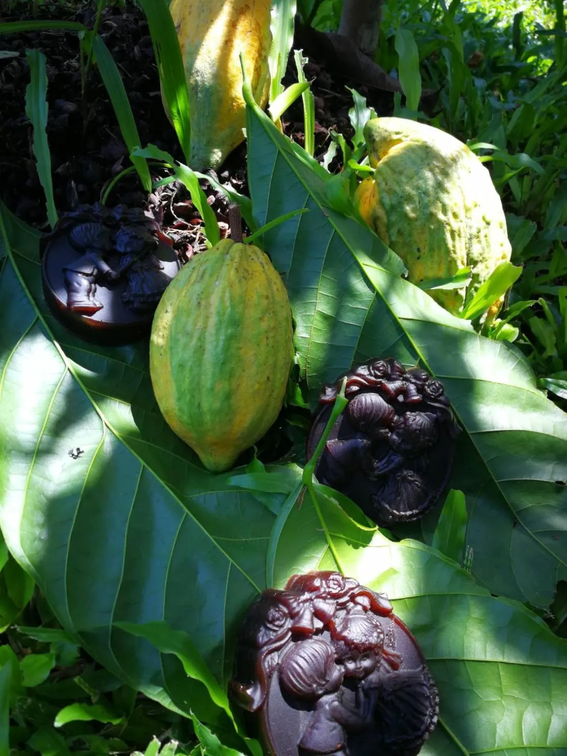 Saengcha Farm Resort