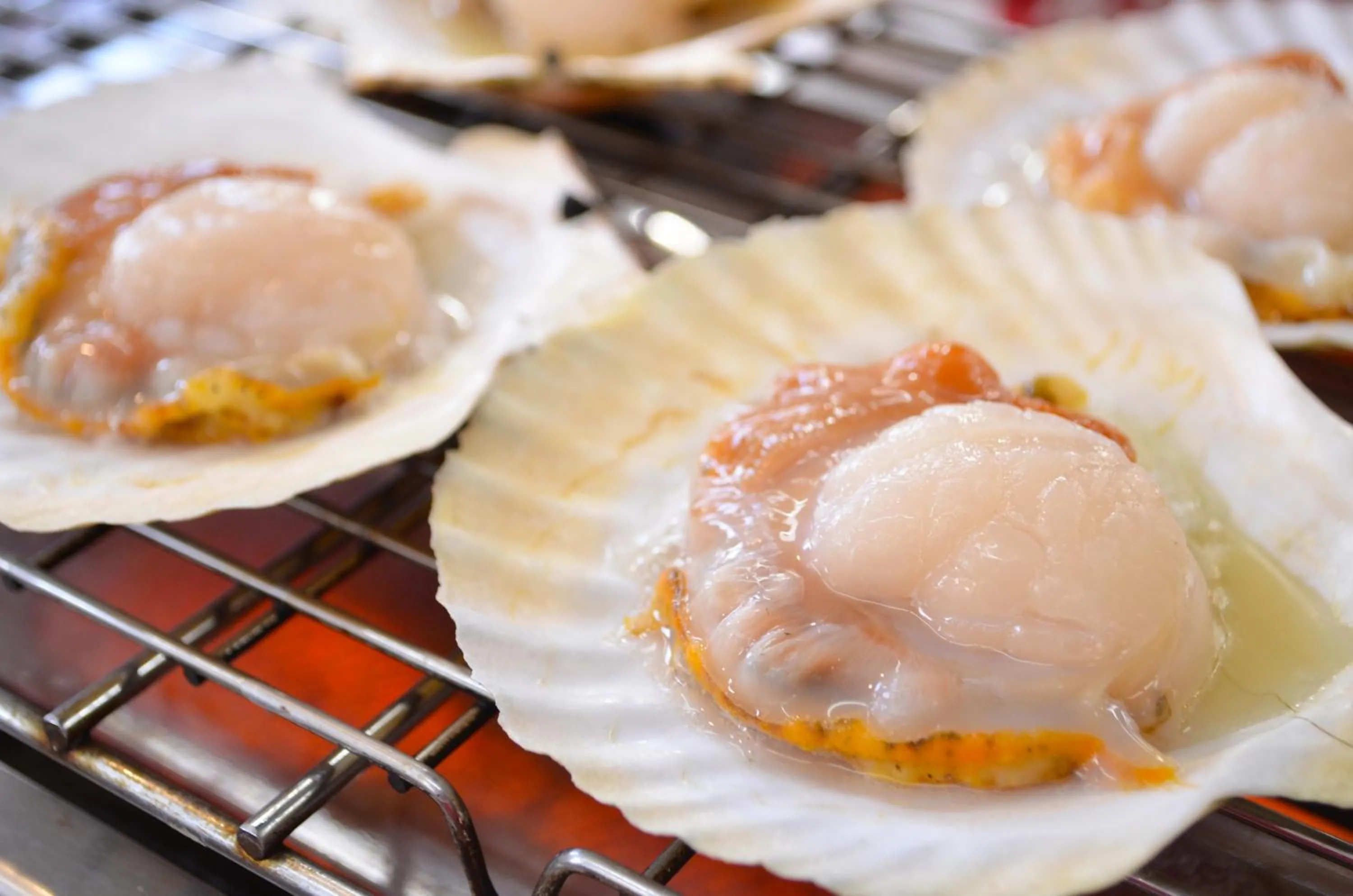 Nearby landmark in Kokotel Hakodate