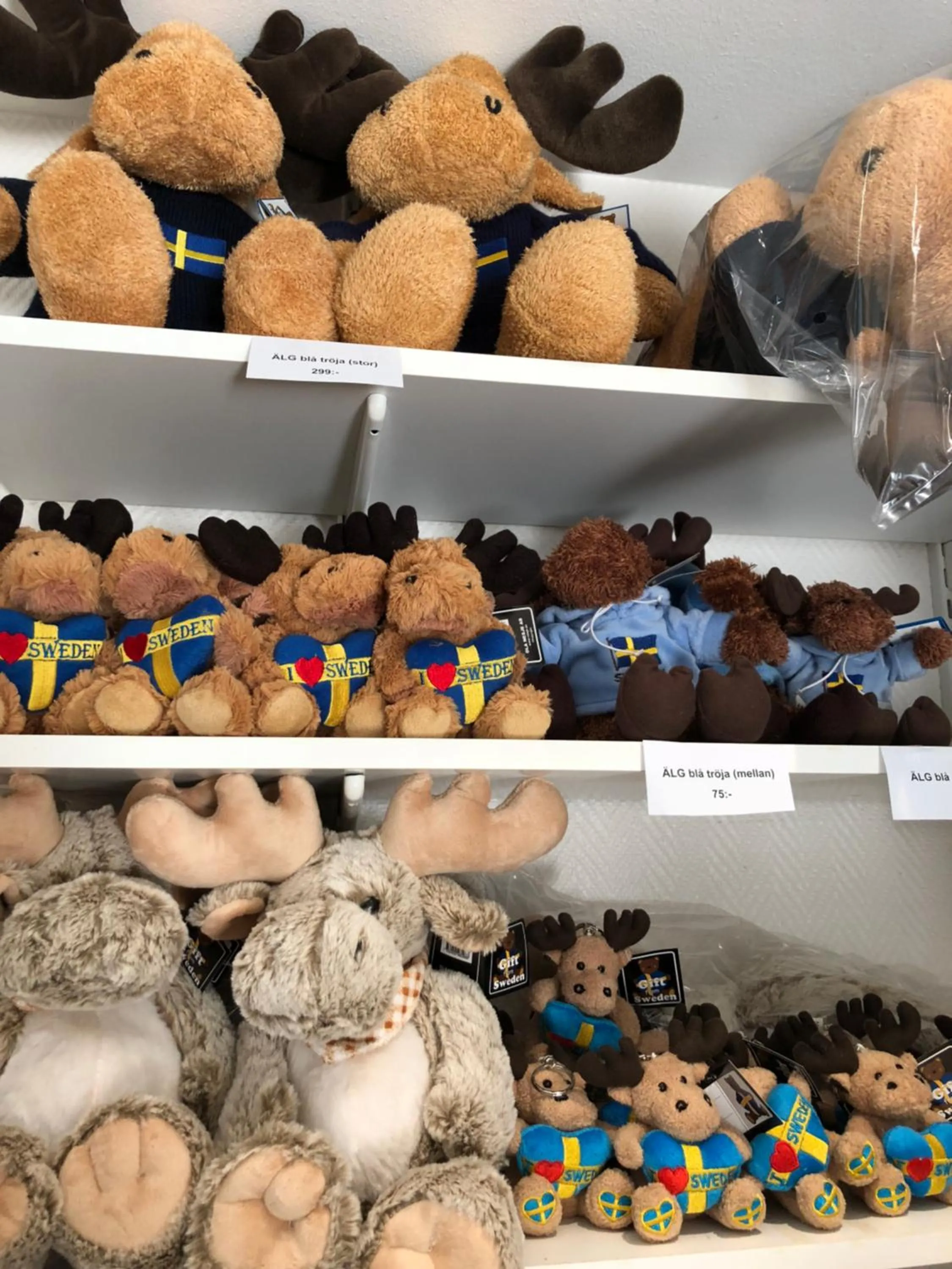 Area and facilities in Hotell Bele