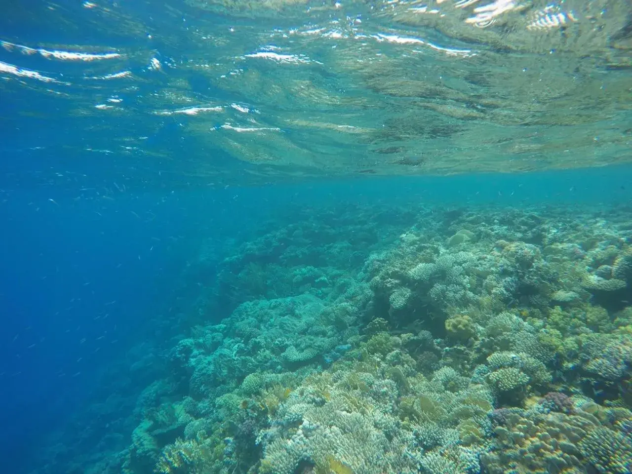 Star Of Dahab Hotel Star Of Dahab Hotel