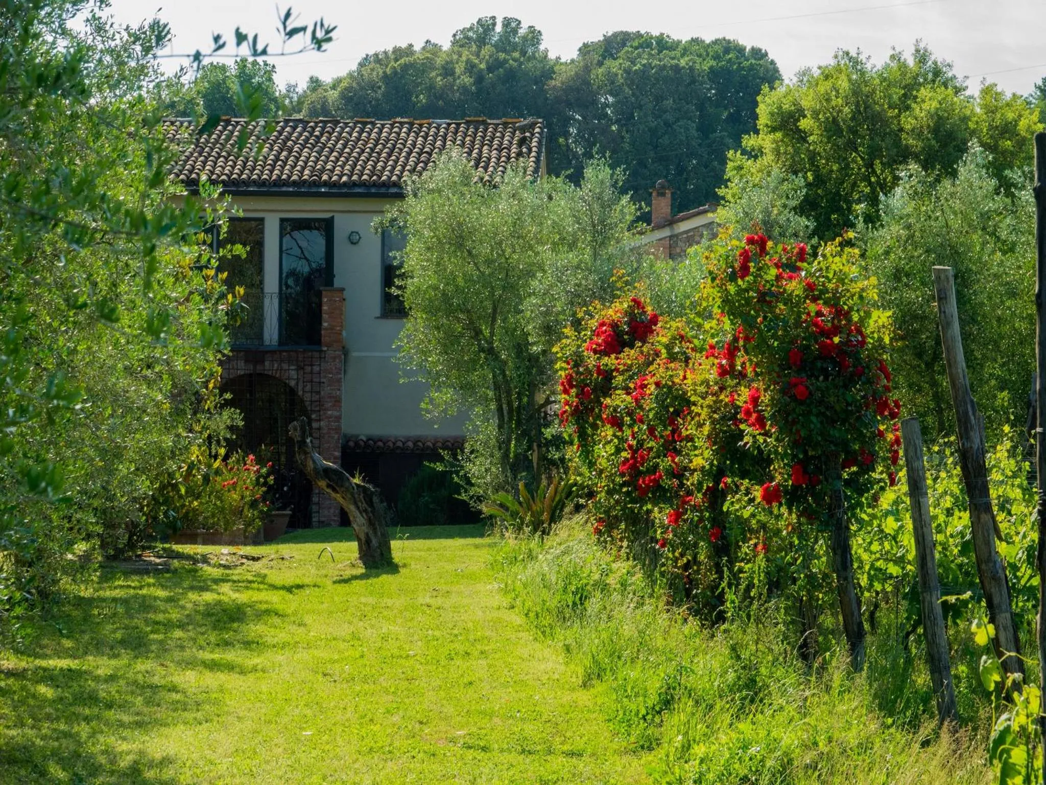Natural landscape in Resort La Ghiaia