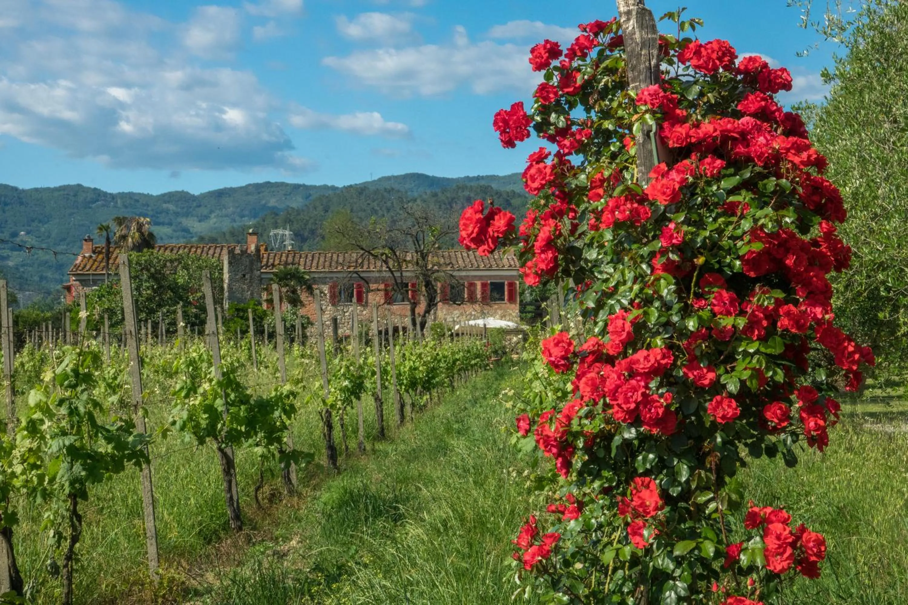 Natural landscape in Resort La Ghiaia