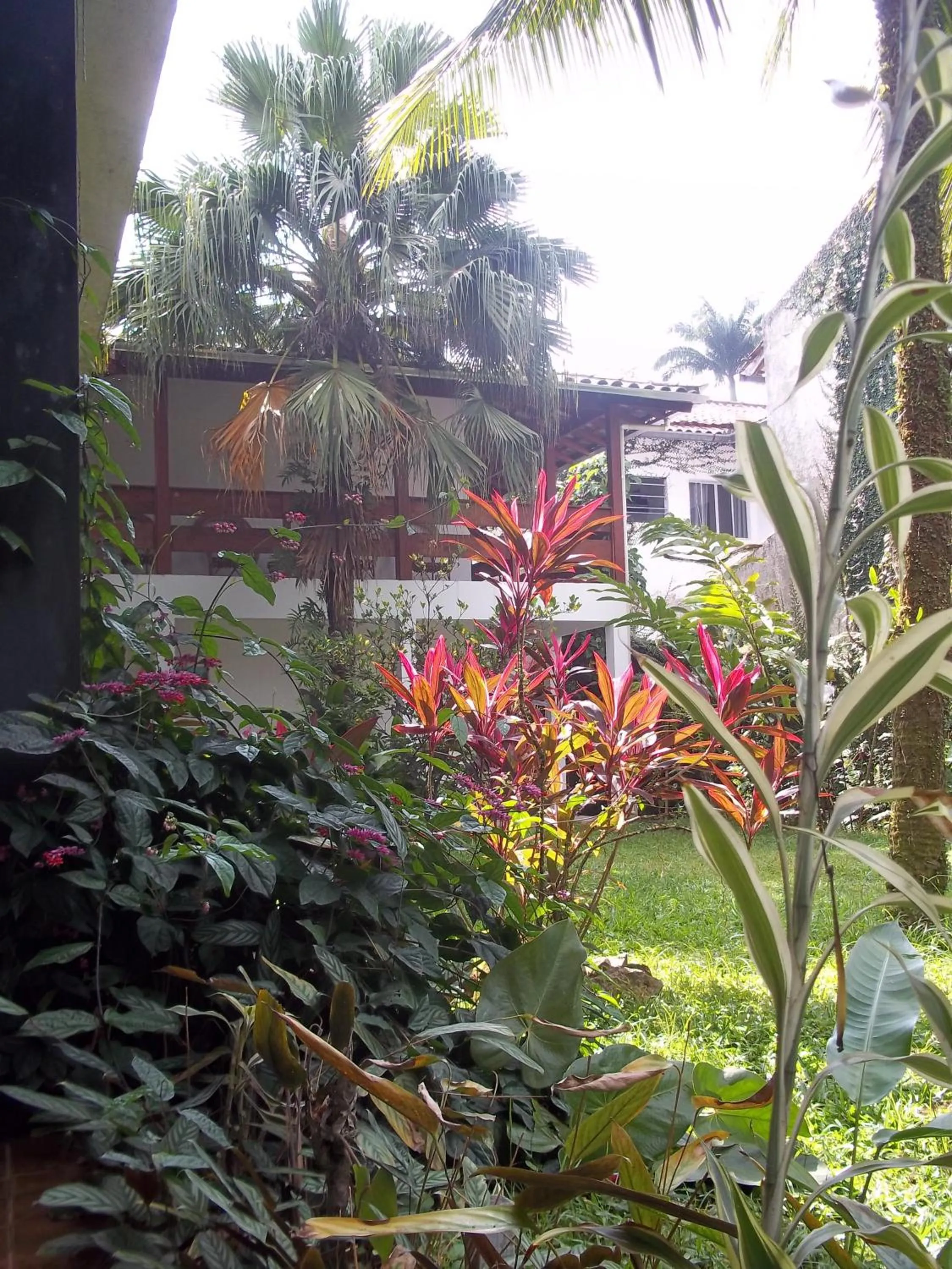 Garden view in Pousada do Tesouro