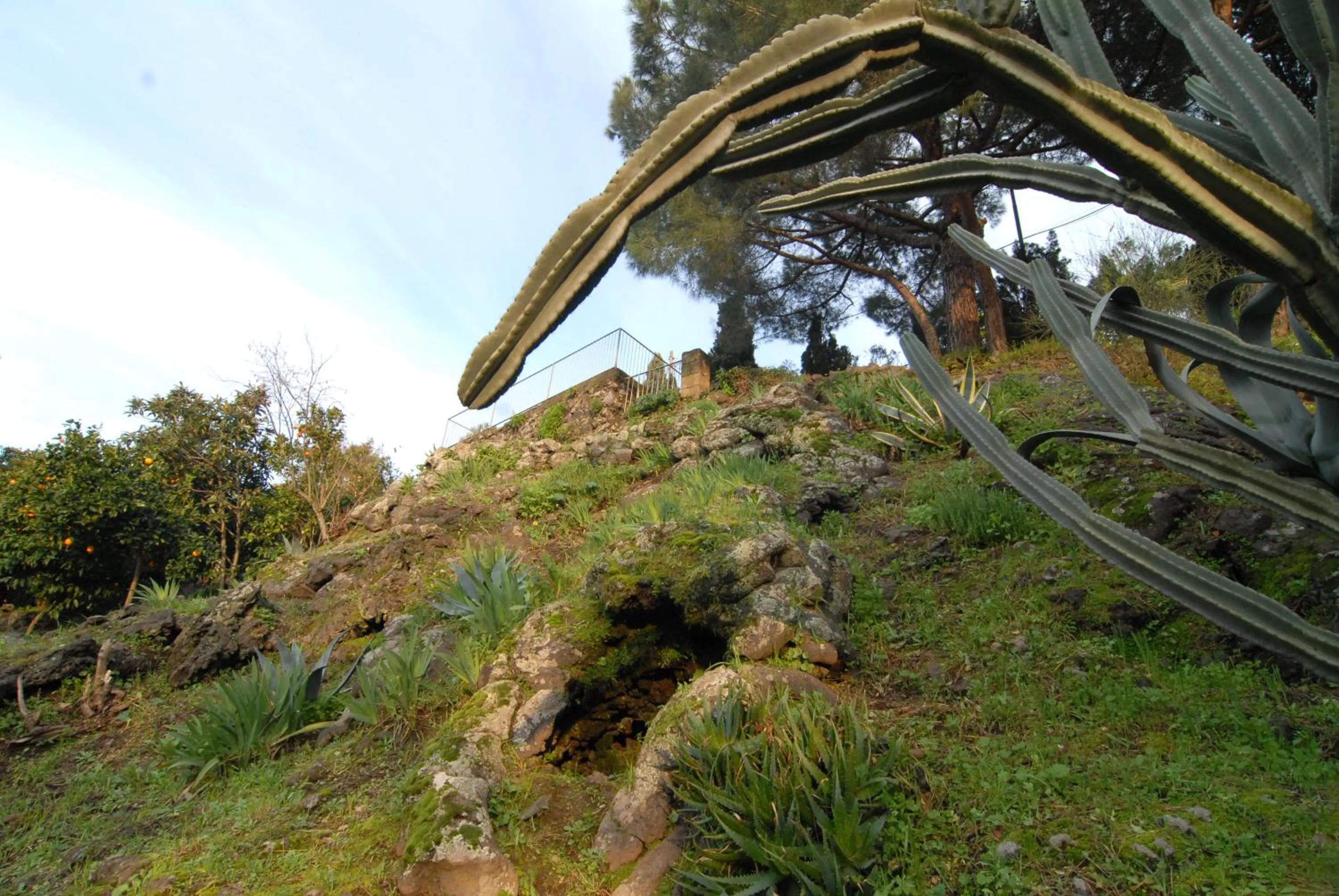 Garden in La Dimora Le Fumarole B&B
