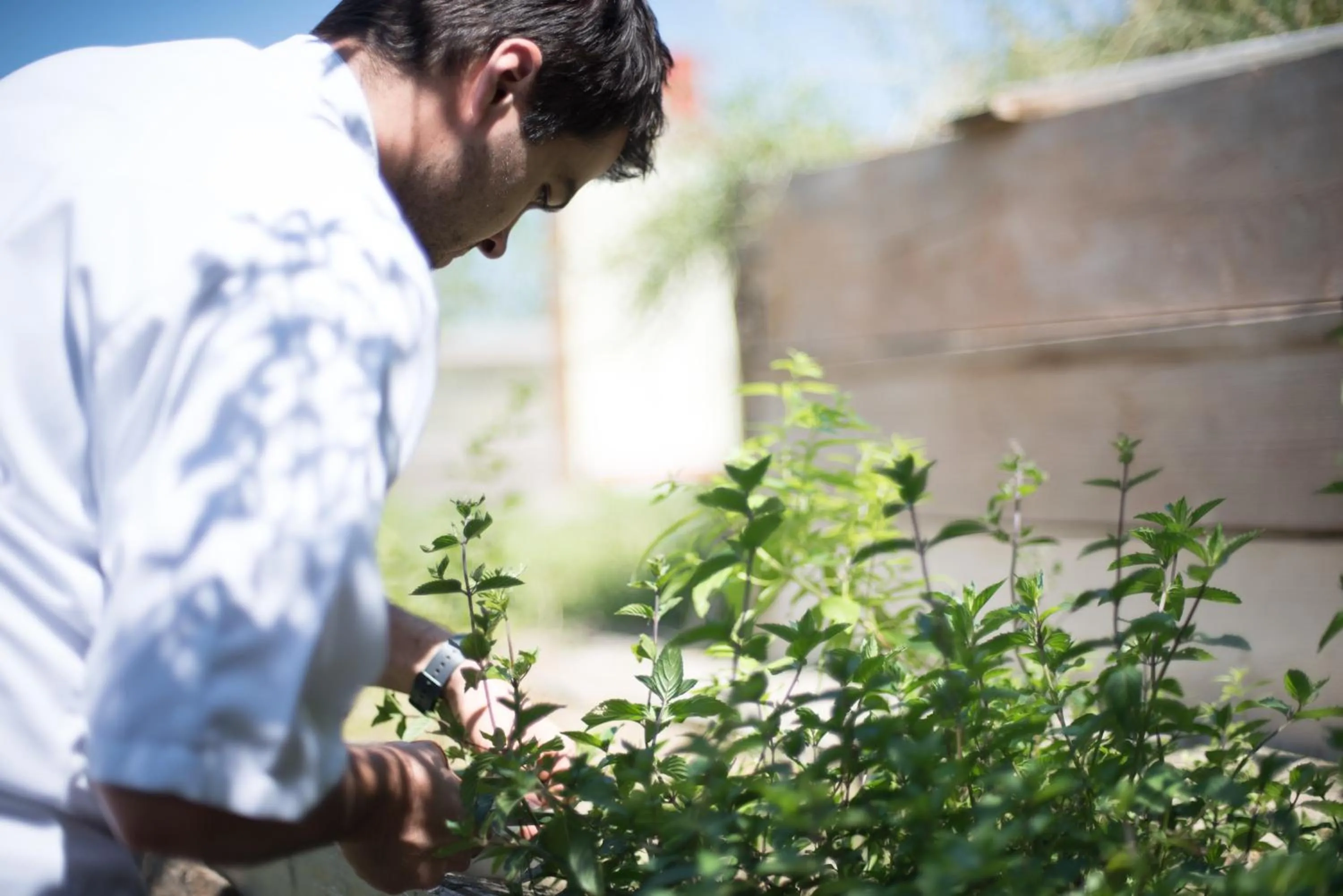 Family in Kupfer-Dachl
