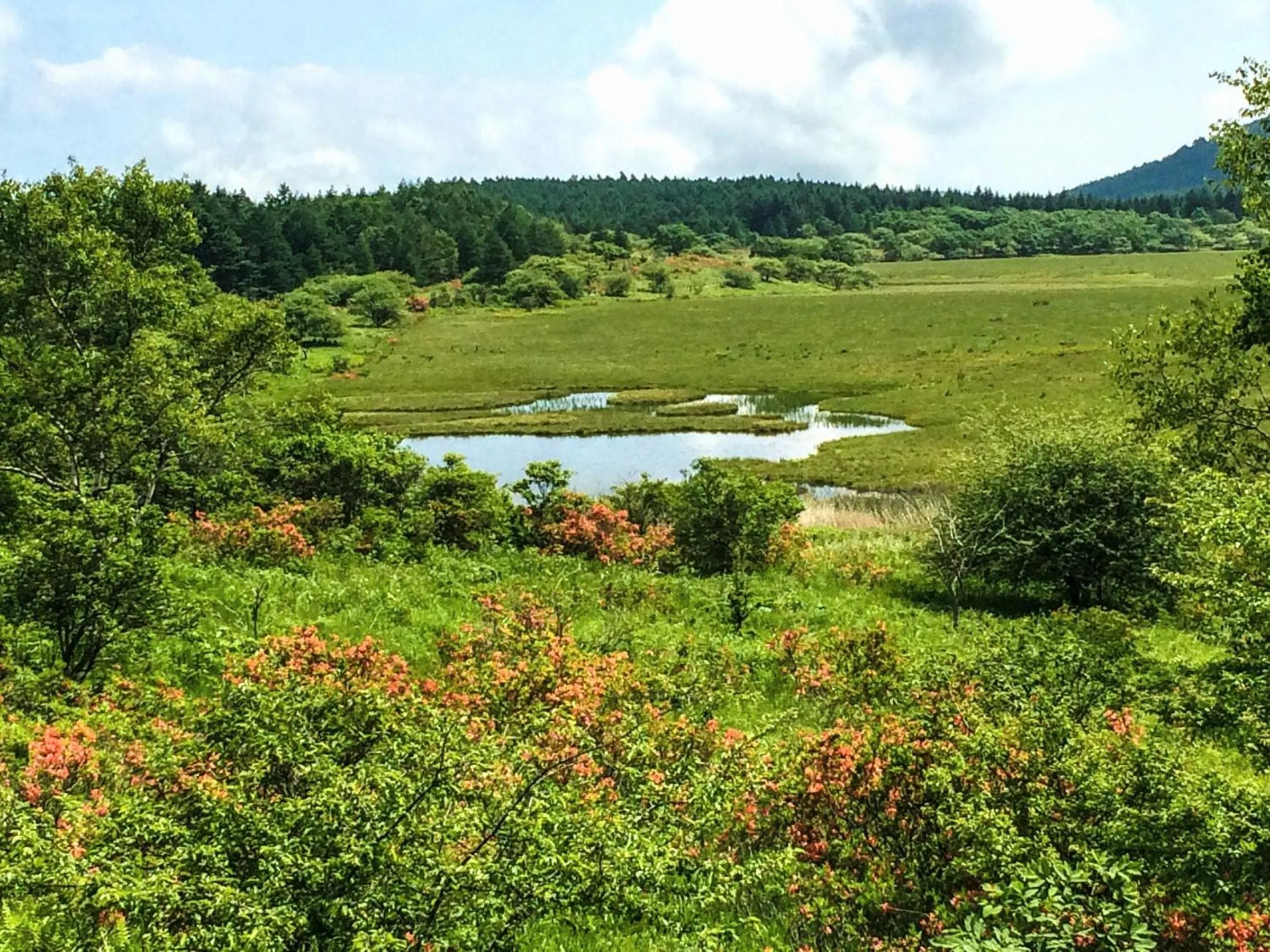 Natural landscape in Kurumayama Kogen Guesthouse Urara