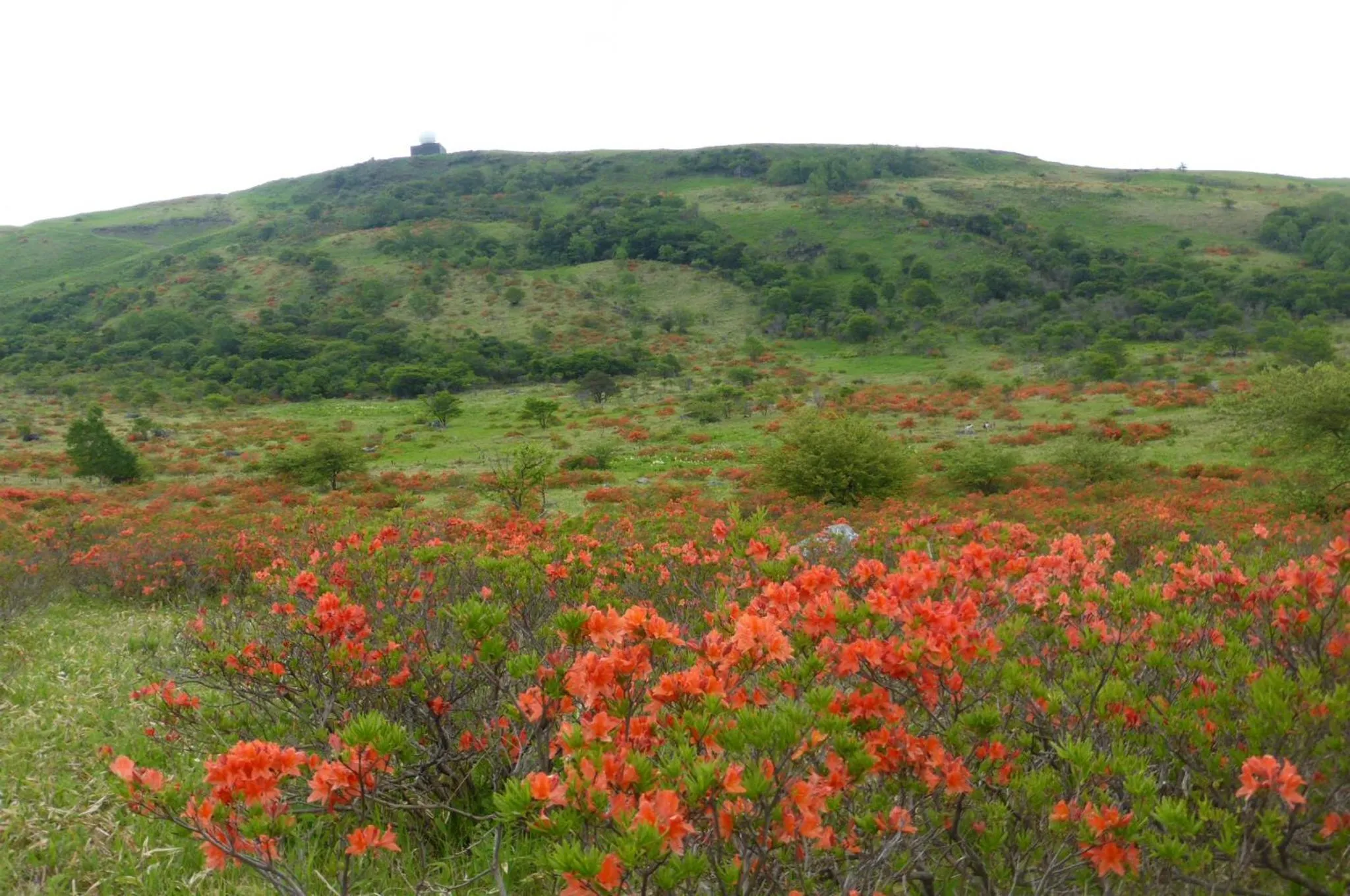 Natural landscape in Kurumayama Kogen Guesthouse Urara