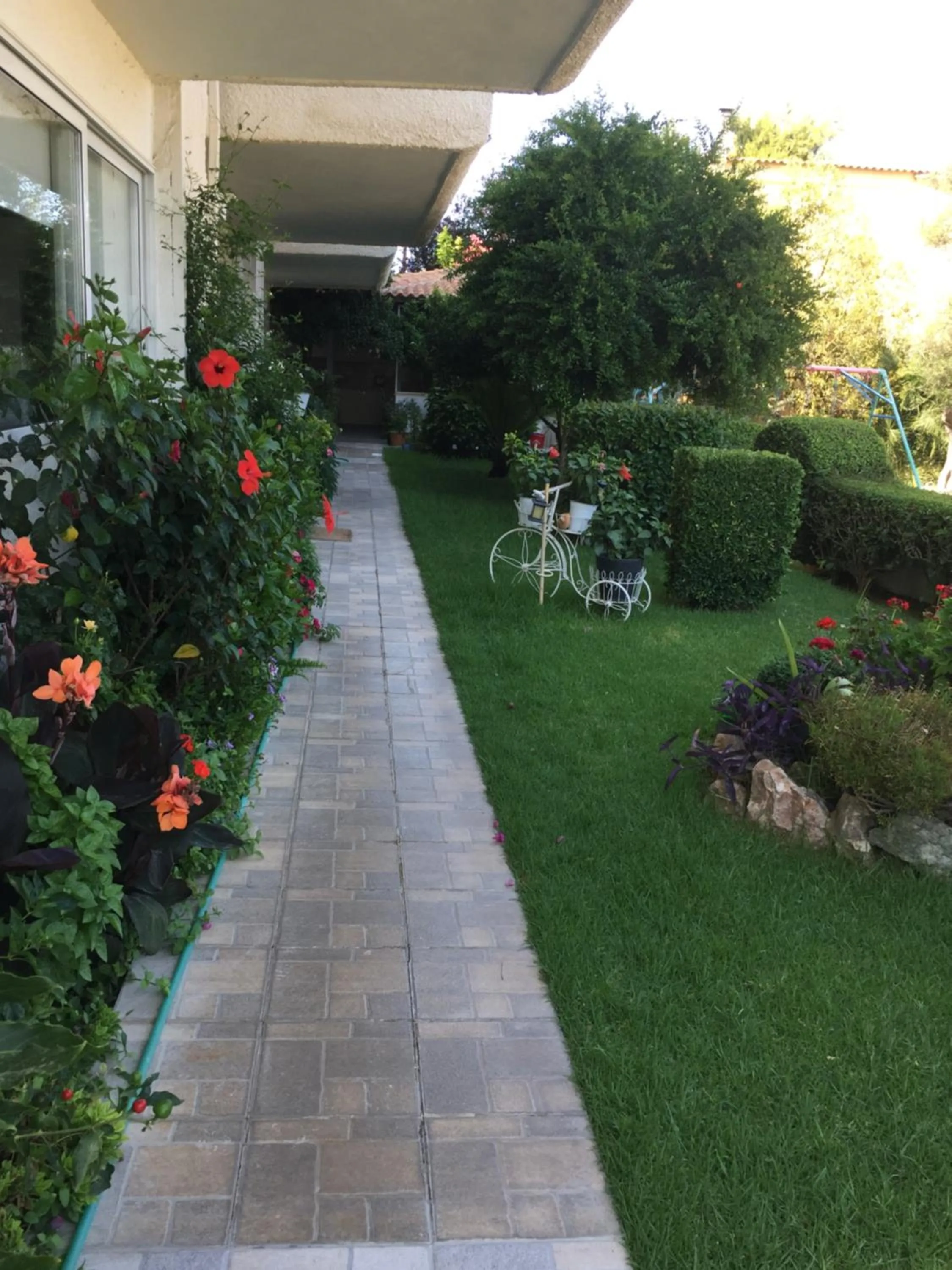 Garden in Chaliotis Apartments