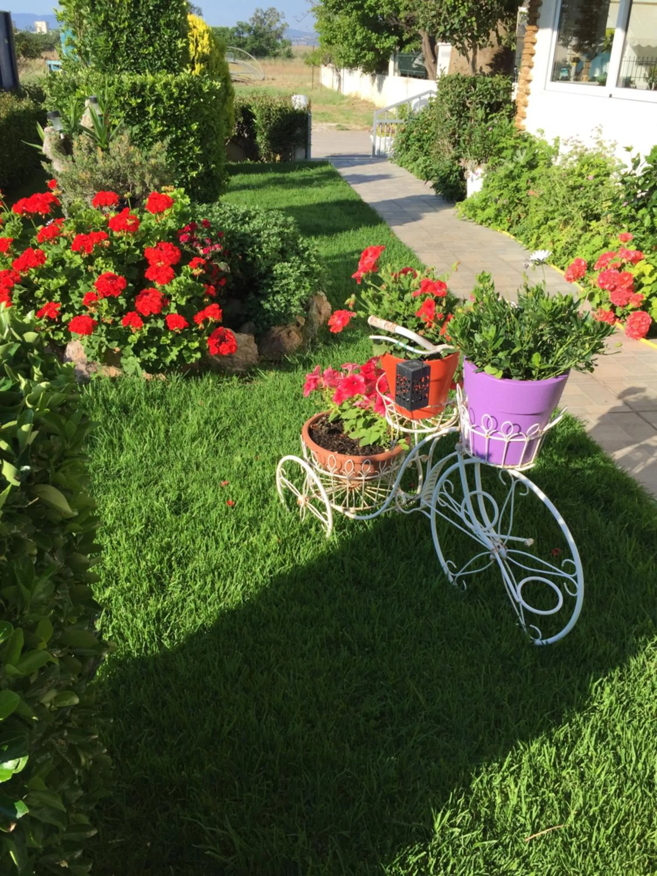 Garden in Chaliotis Apartments