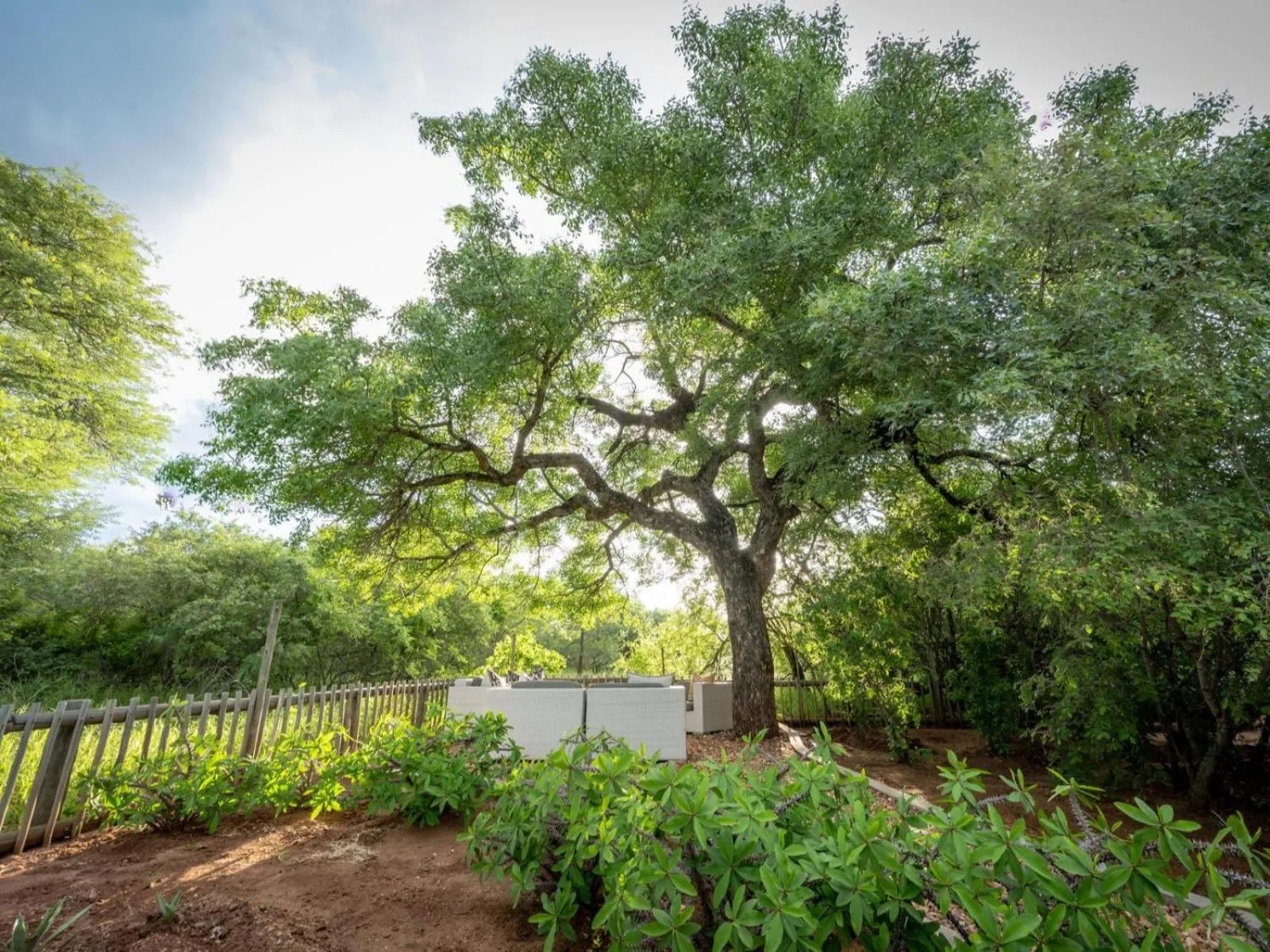 Garden in eKhaya Bush Lodge
